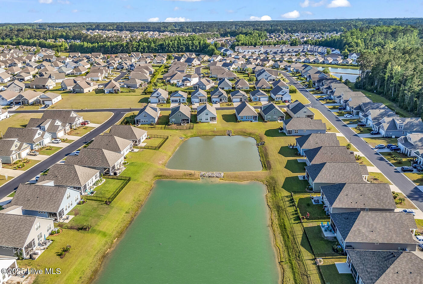 100547571 | Photo 54