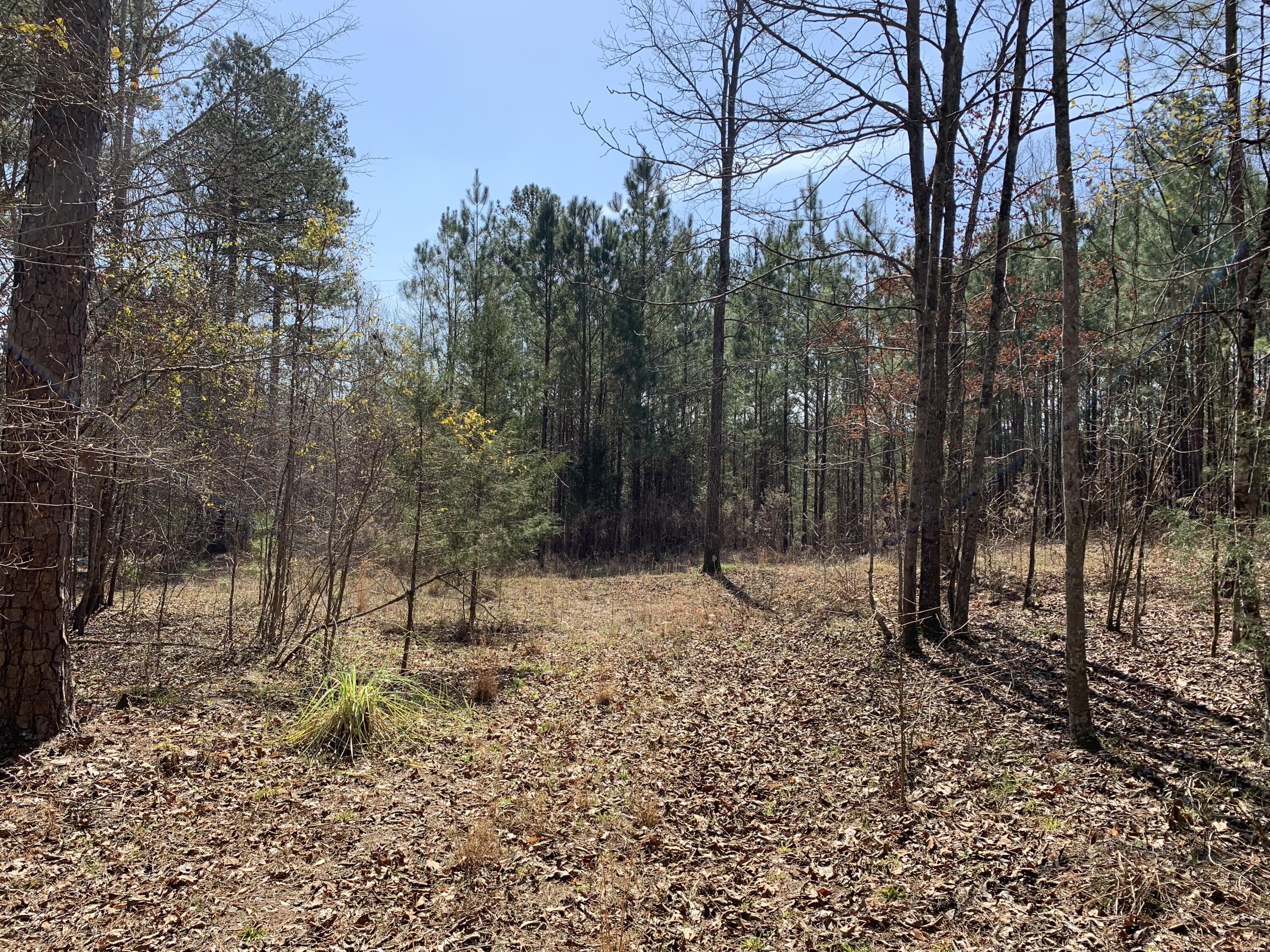 1403 TANYARD CREEK Drive, Thomson, GA, 30824