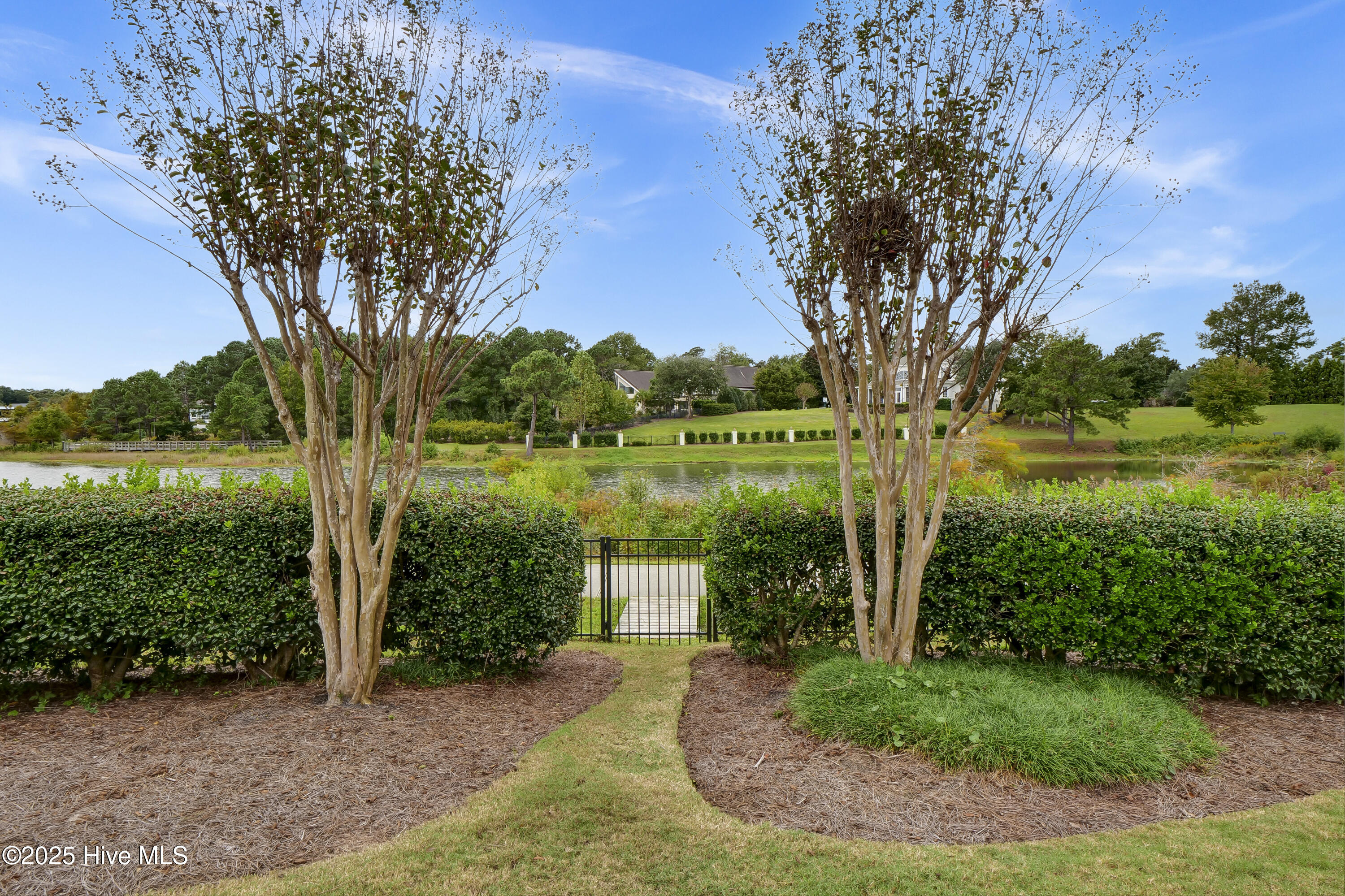 100555376 | Photo 51