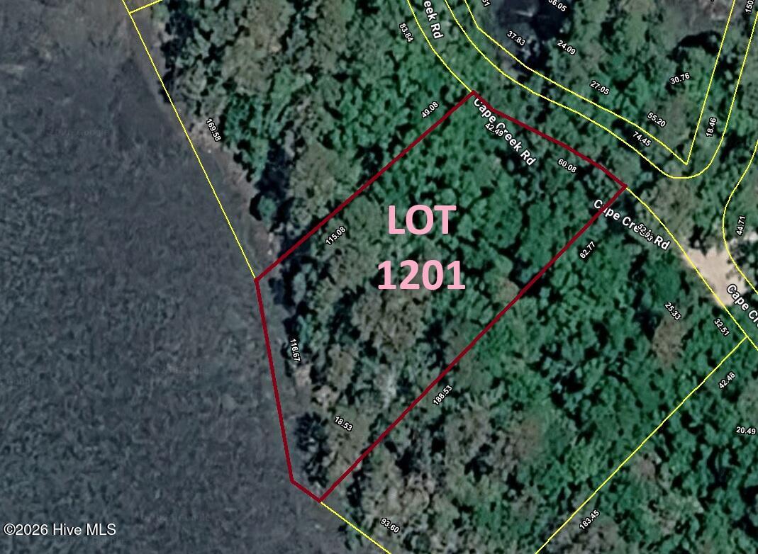 100566616 | Photo 13