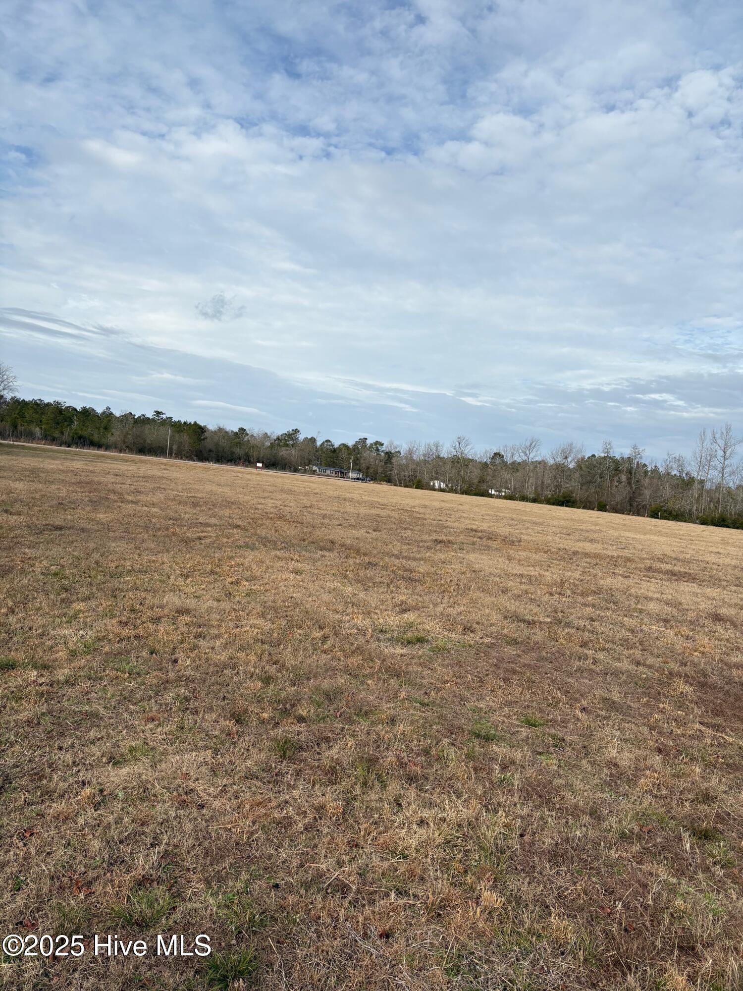 100532071 | Photo 10