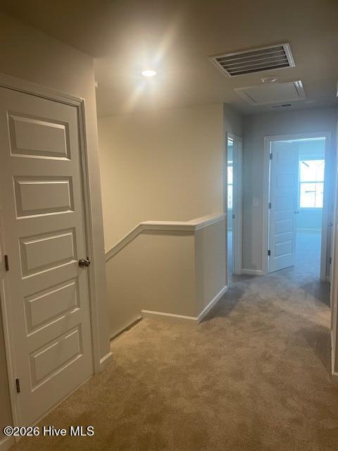 100563542 | Photo 12