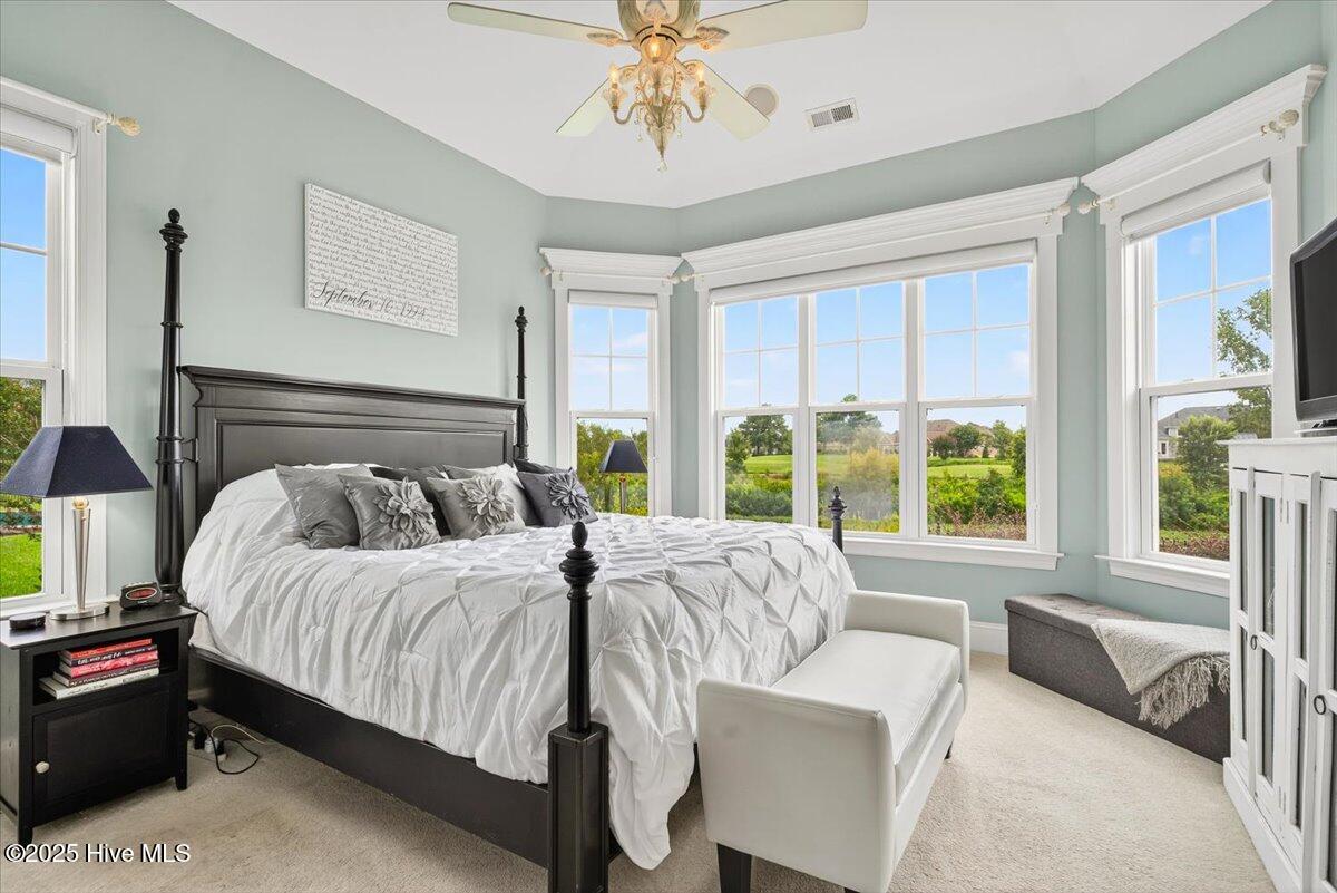 100525399 | Photo 16