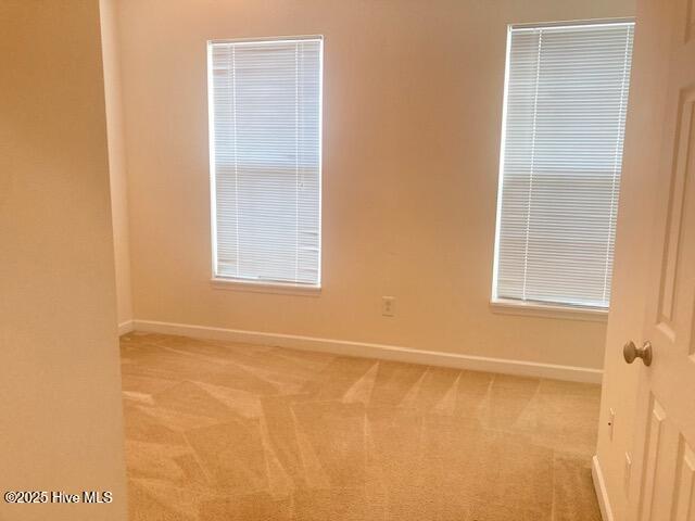 100517374 | Photo 24