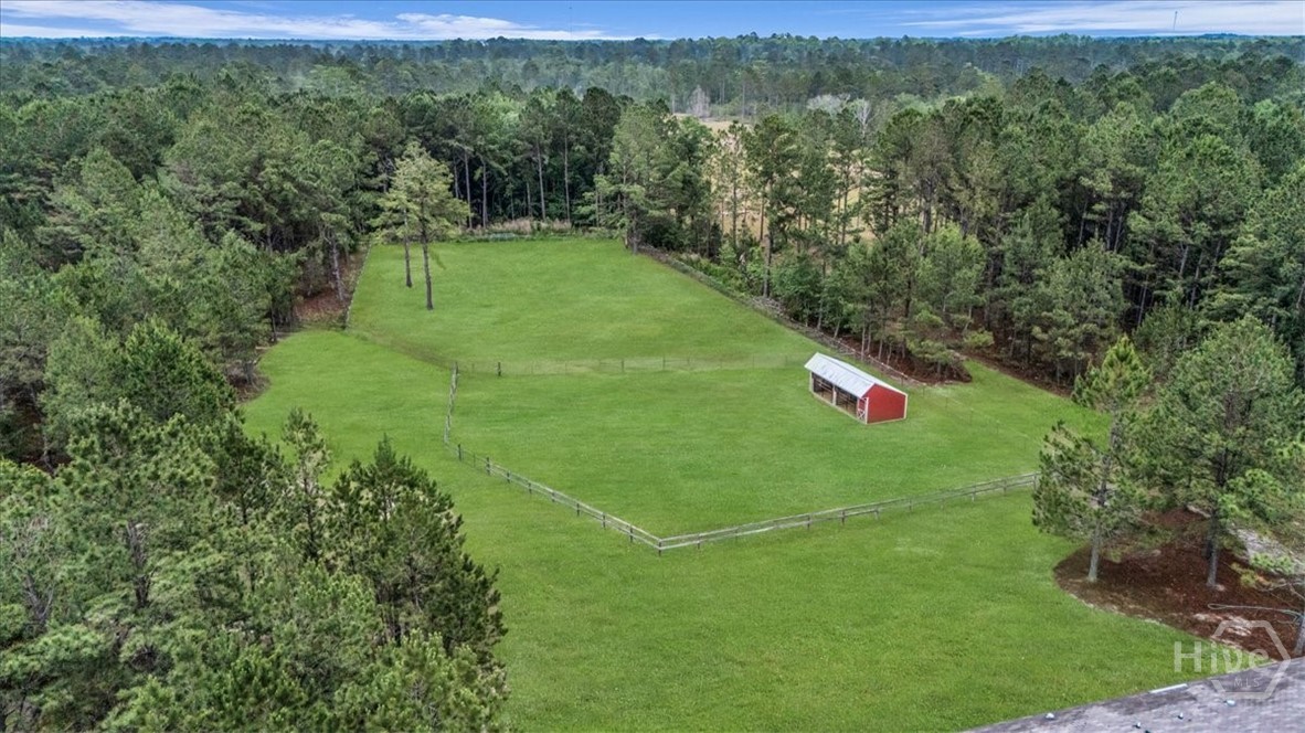 750 NE S T Morris Road, Ludowici, GA 31316 Listing Photo  41