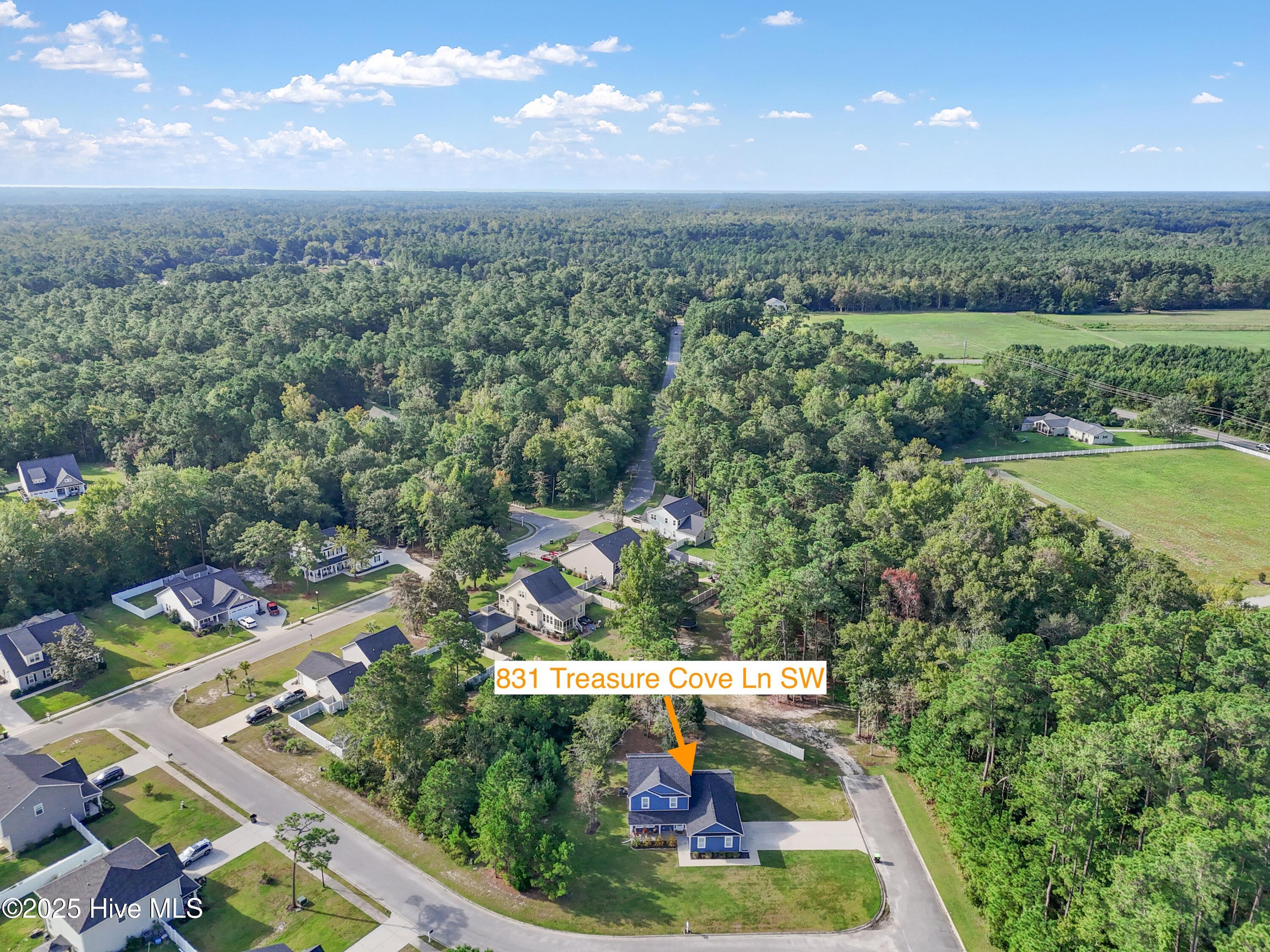 100530702 | Photo 37