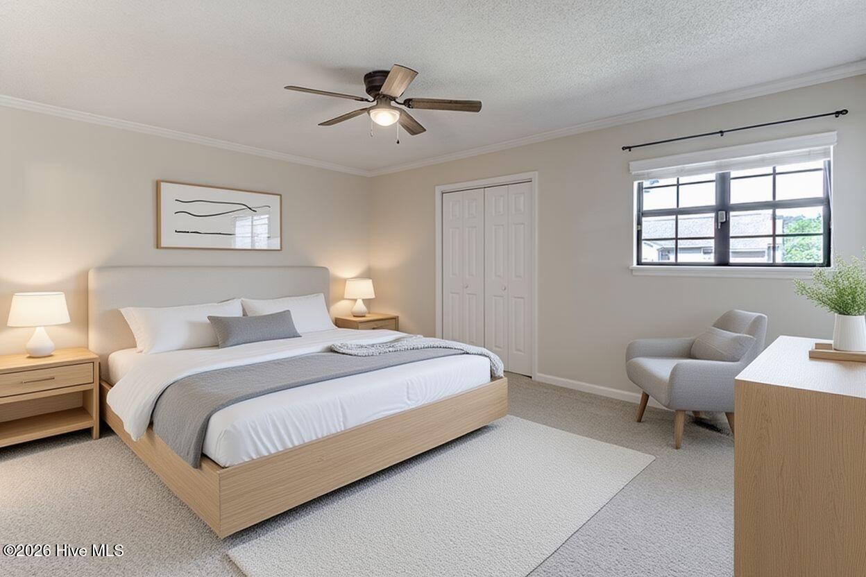 100565987 | Photo 21