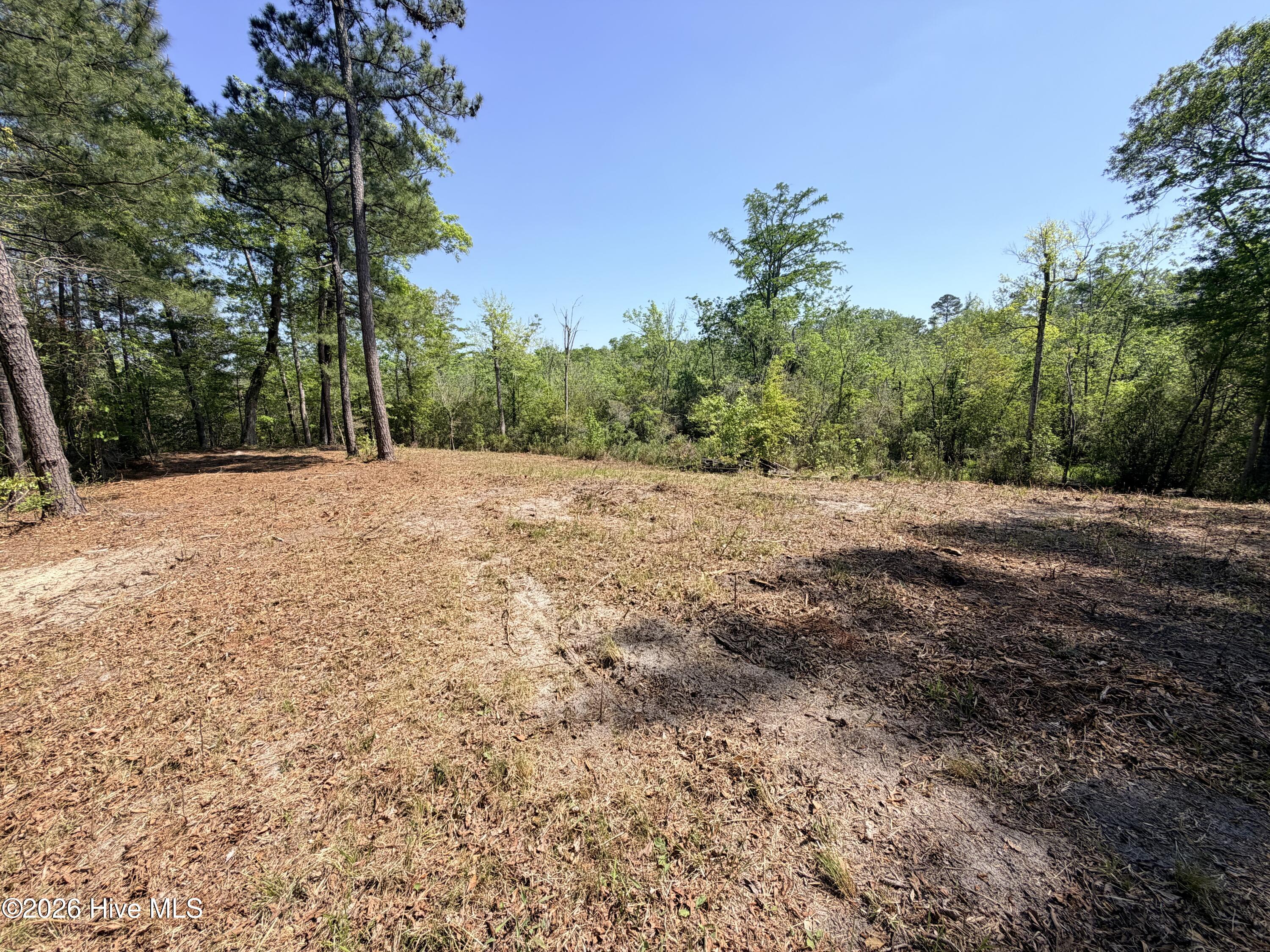 100568145 | Photo 10