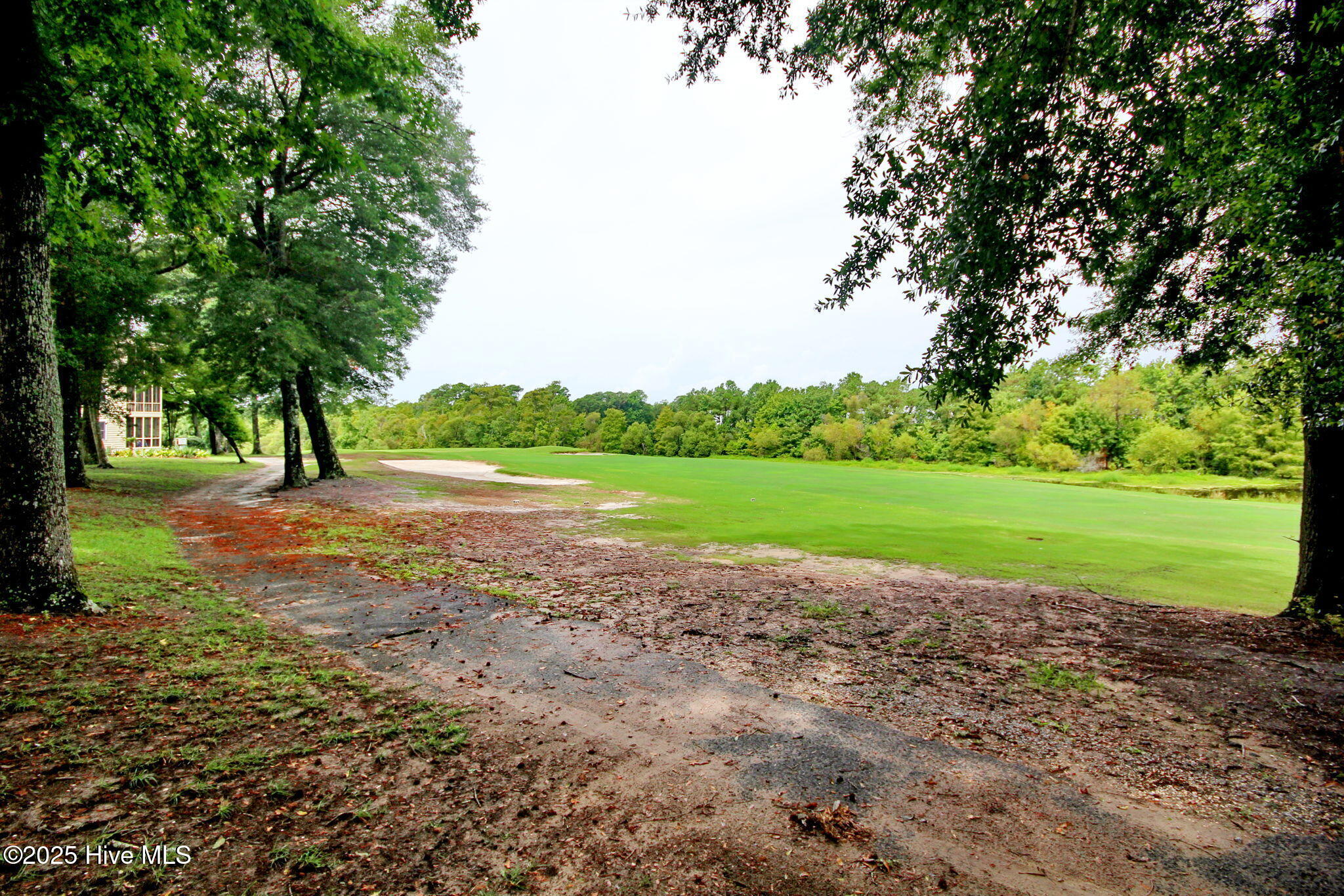 100528000 | Photo 22