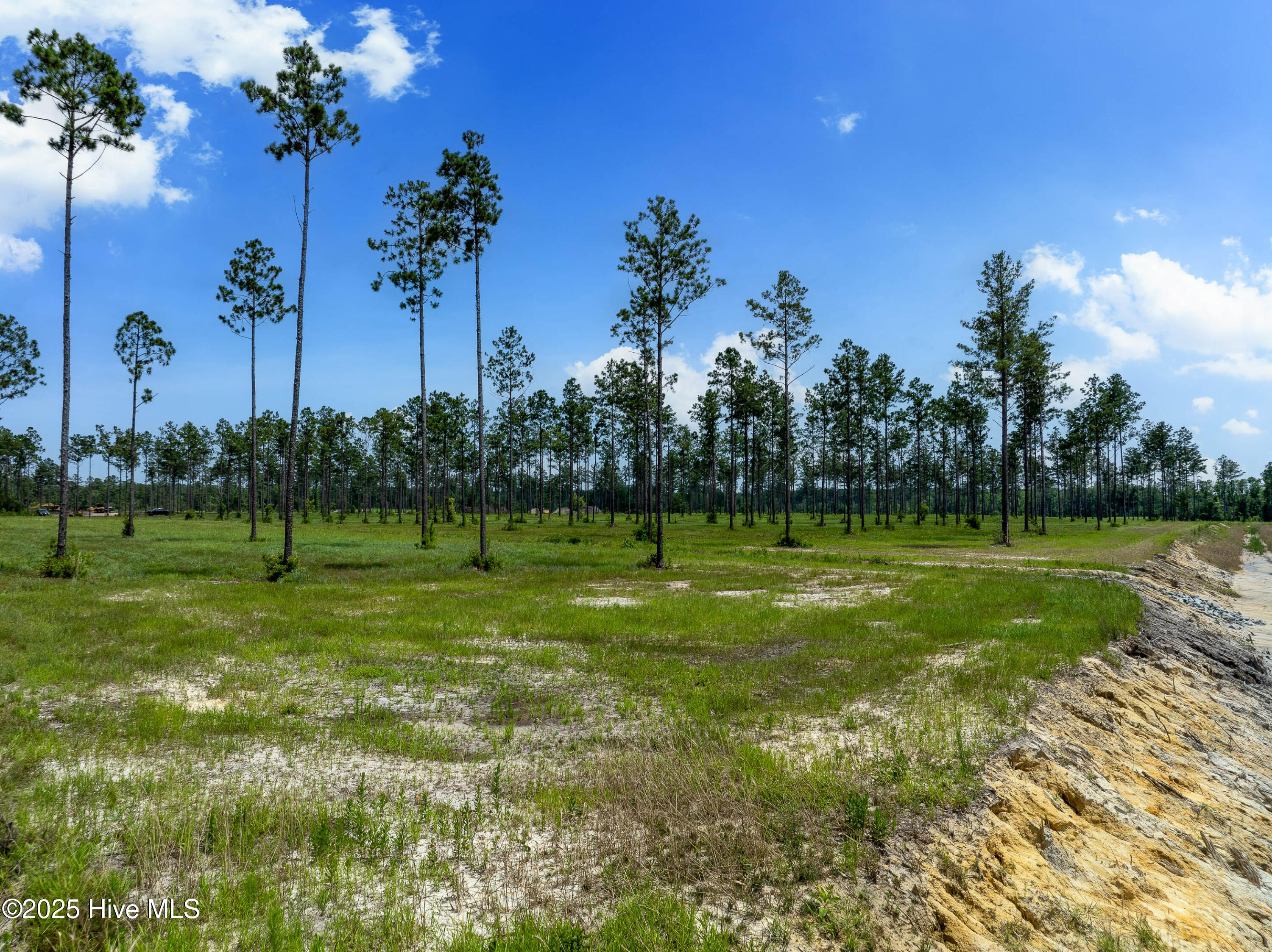 100520208 | Photo 10