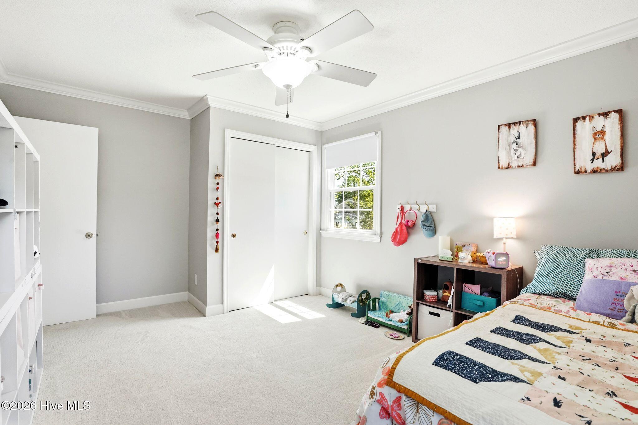 100568648 | Photo 48