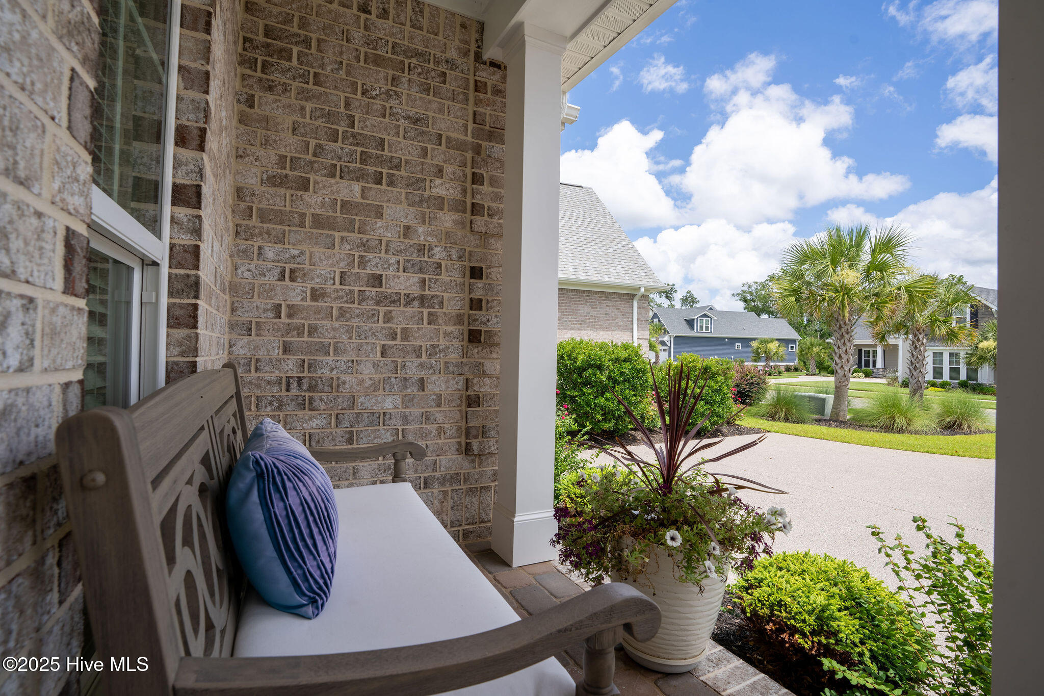 100517606 | Photo 12