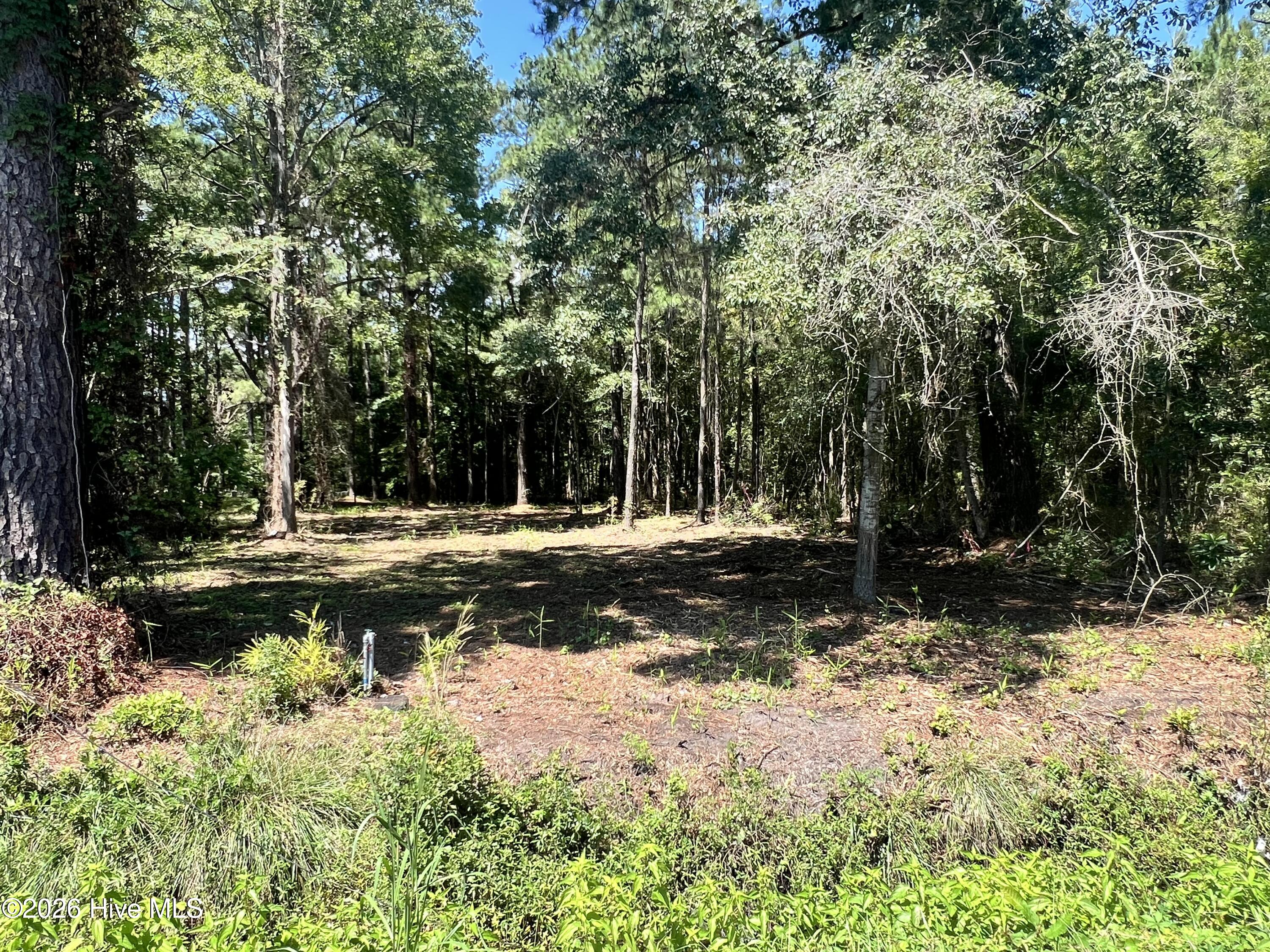 Exterior photo of Lot 4 Elm Street, Belhaven, NC 27810. MLS: 100600187