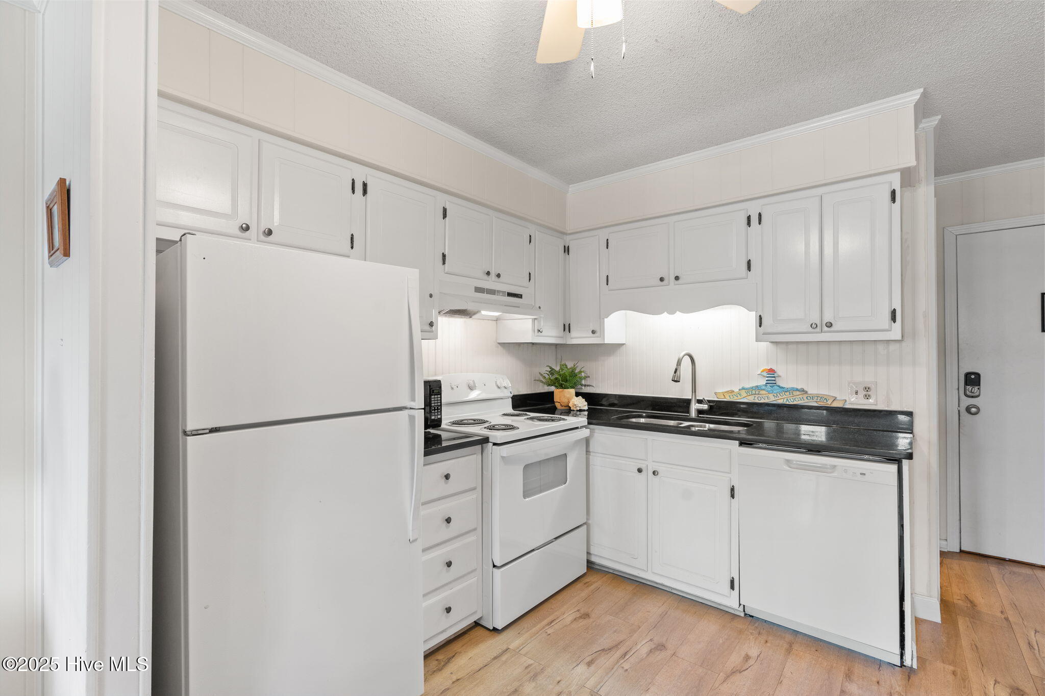 100538313 | Photo 10