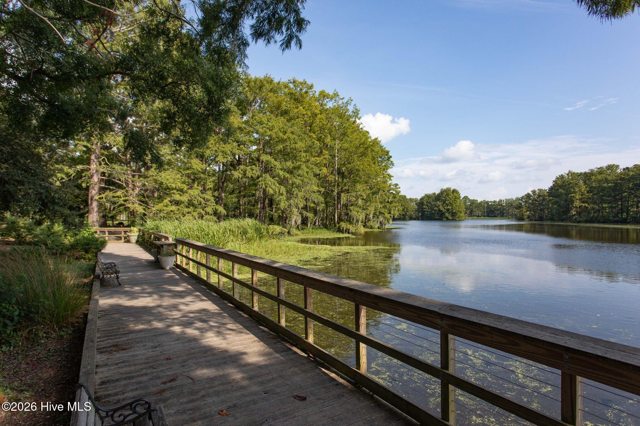 100570327 | Photo 71