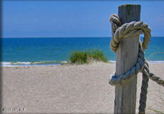 100565037 | Photo 17