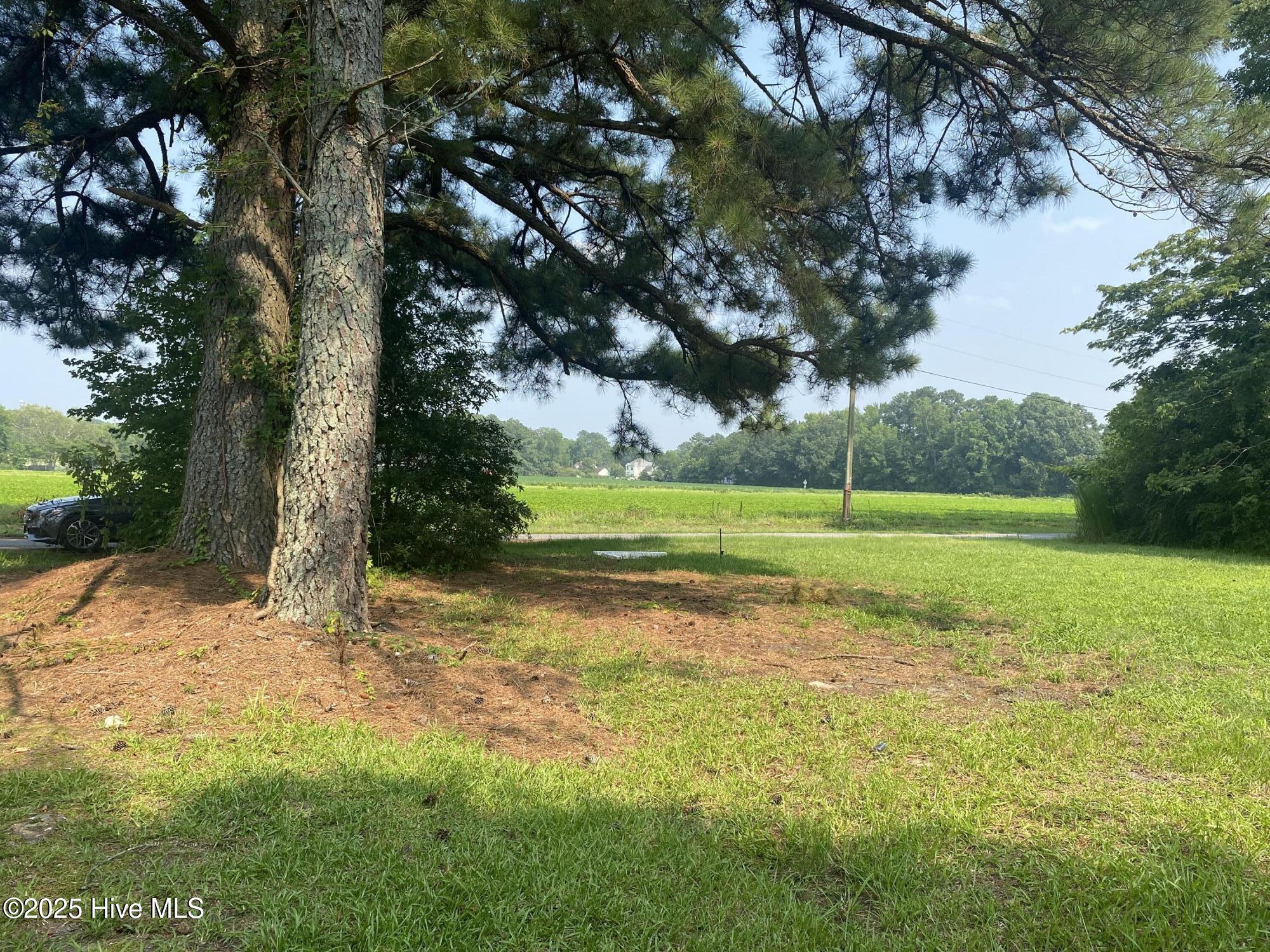 Homes for sale in Robersonville, NC | 413 Pecan St, Robersonville, NC 27871 | MLS# 100544118