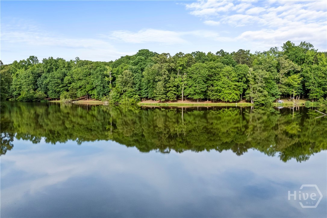 295 Blue Heron Drive, Athens, GA 30605 Listing Photo  61
