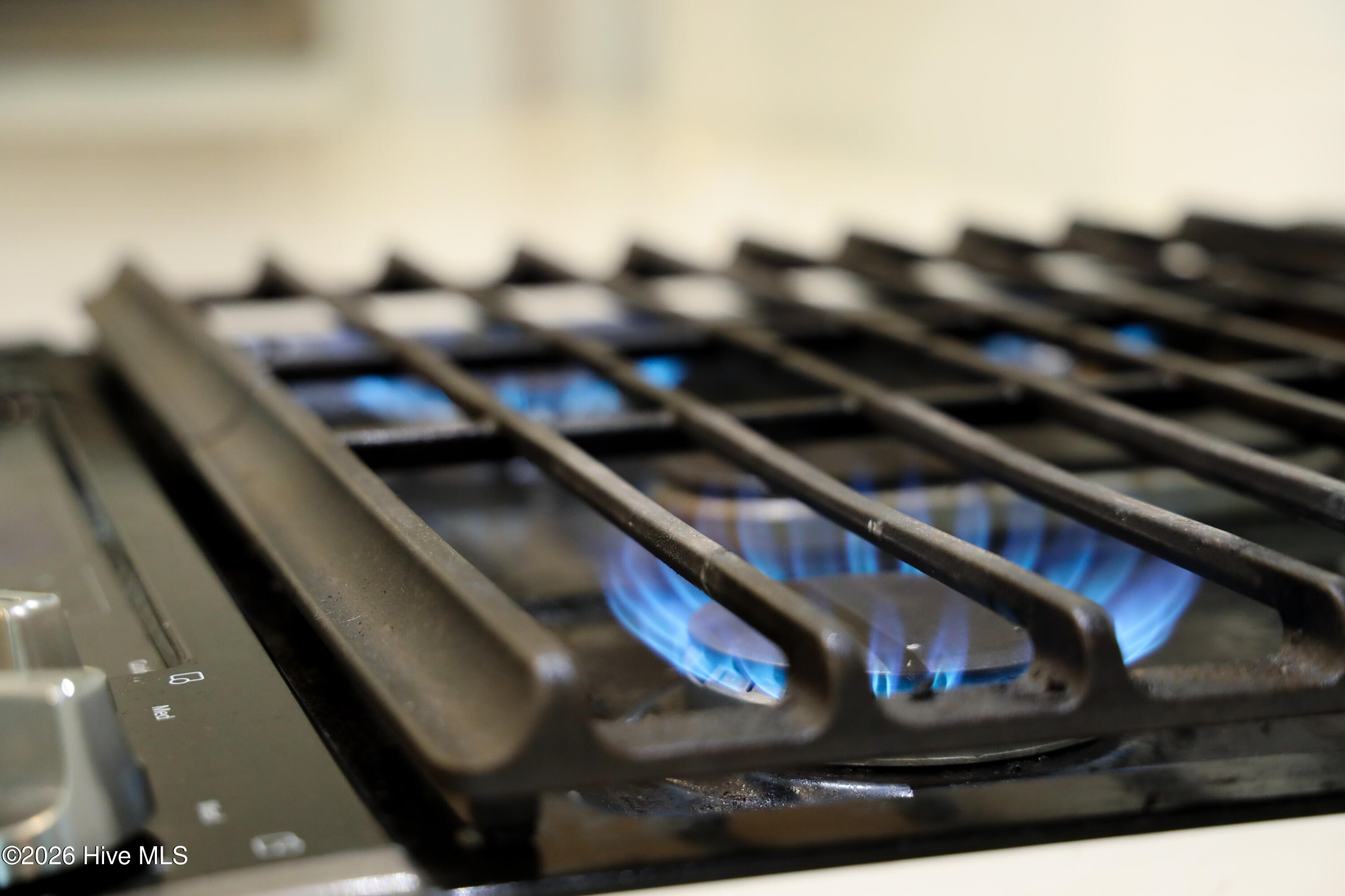 100567915 | Photo 27