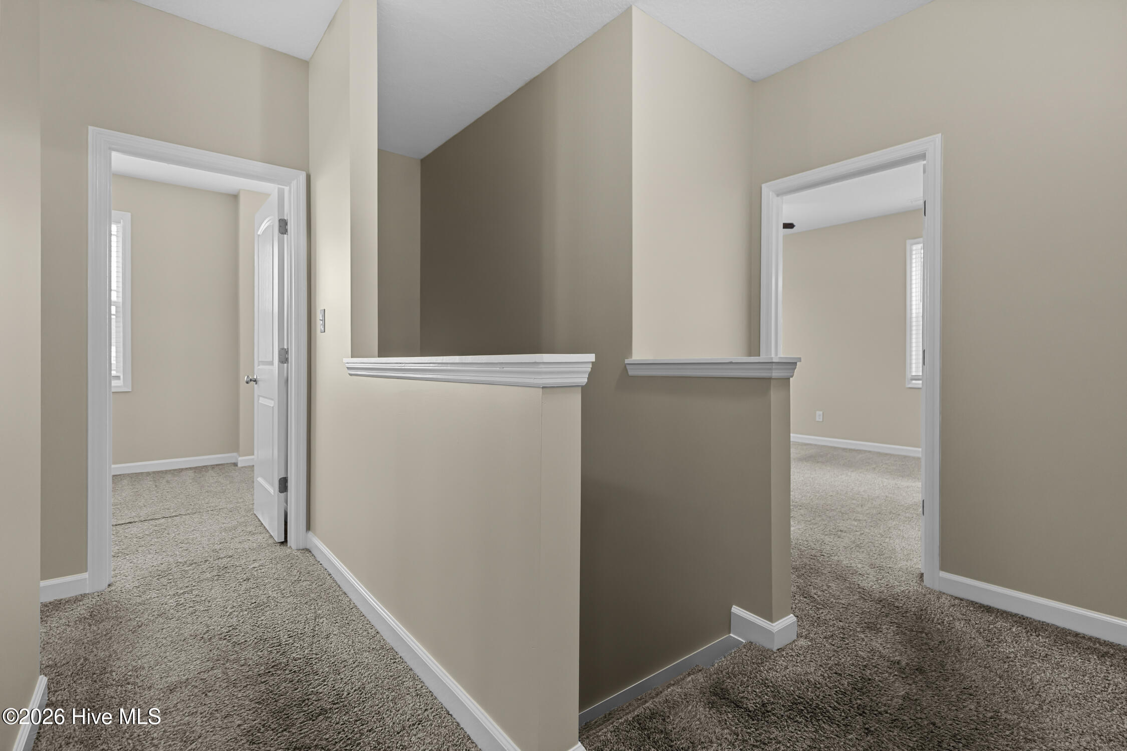 100548143 | Photo 21