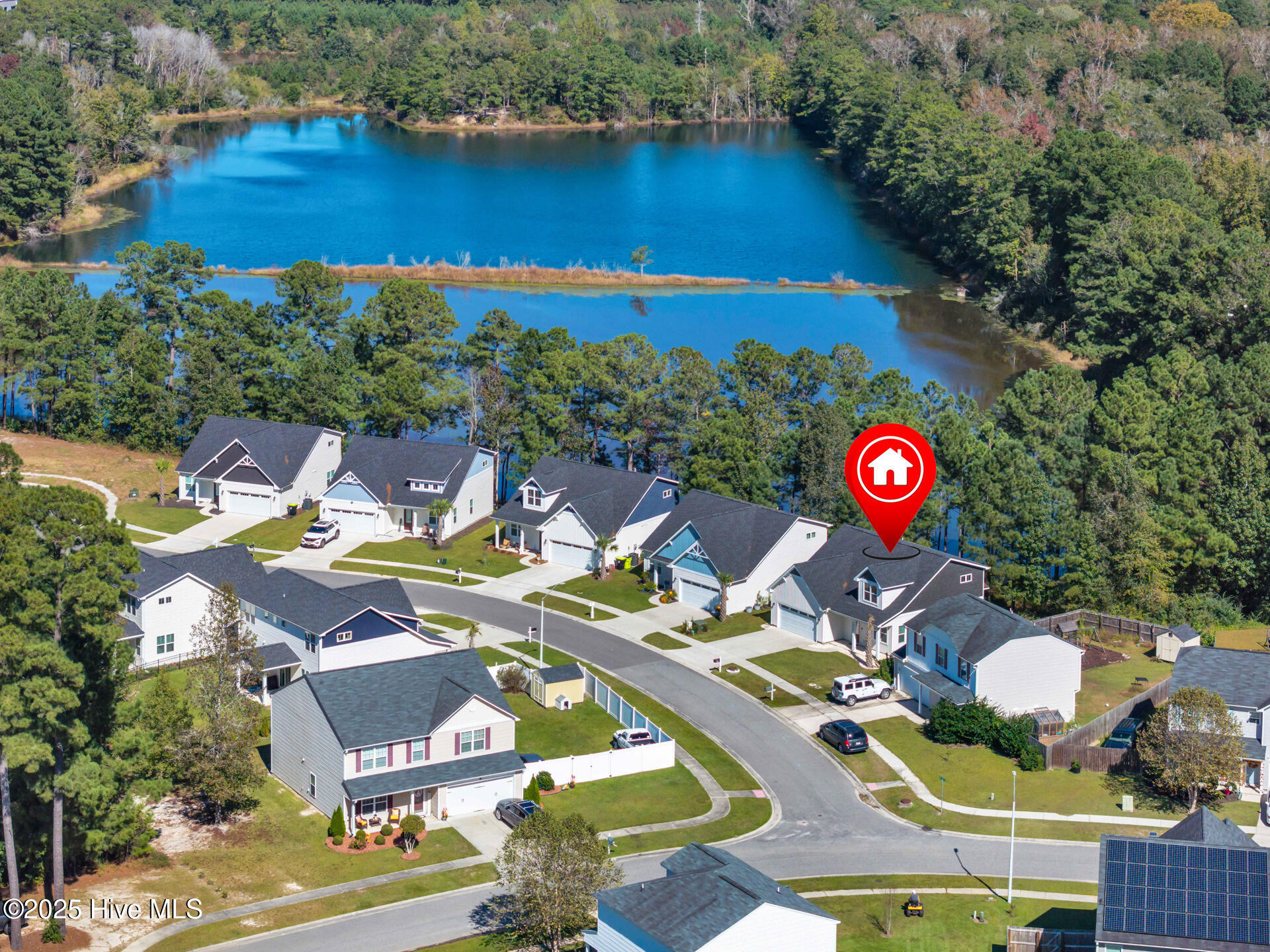 100537443 | Photo 39