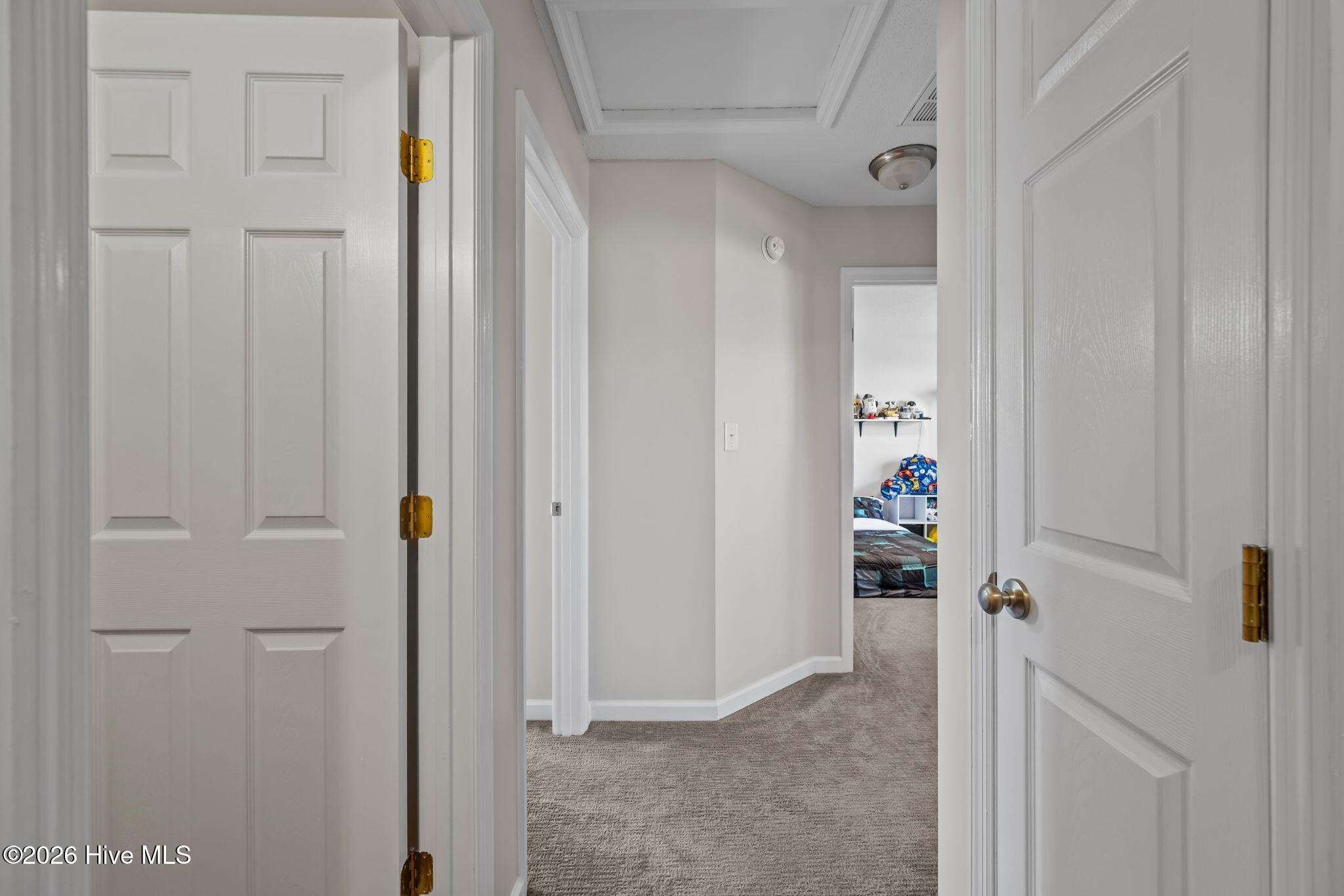 100561197 | Photo 24