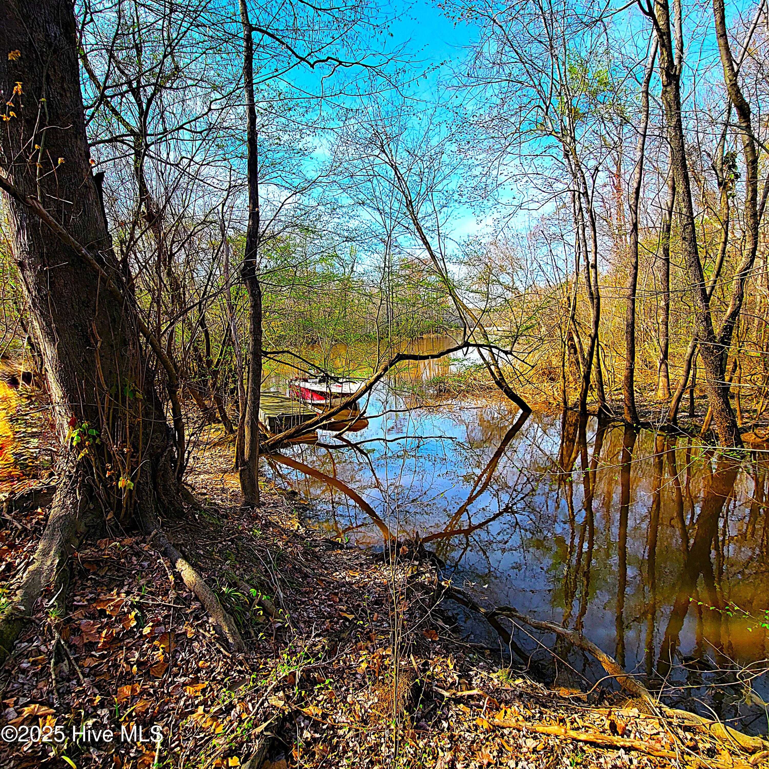 100496184 | Photo 12