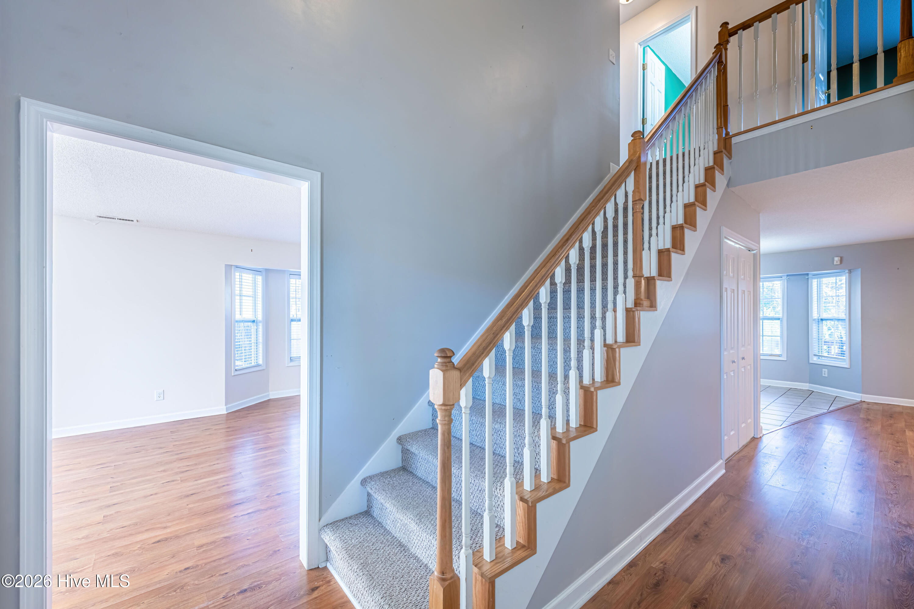 100536665 | Photo 20