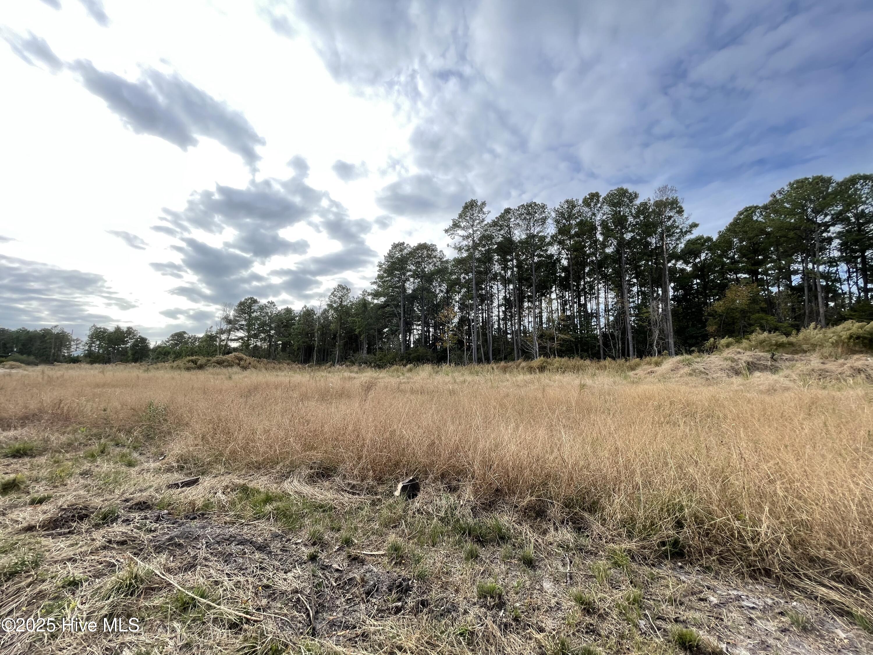 100496584 | Photo 23