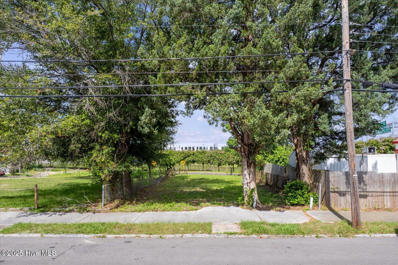 100519890 | Photo 11