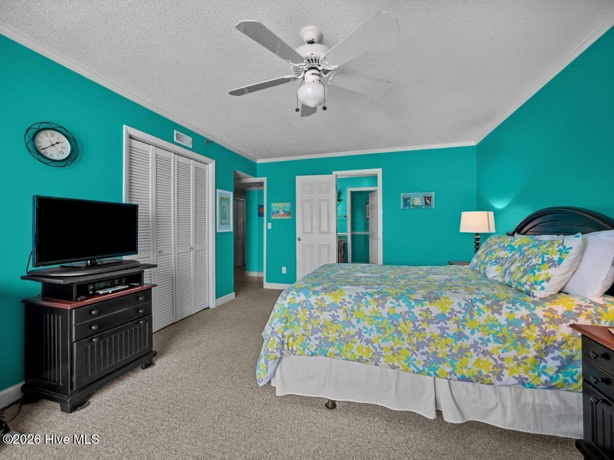 100556202 | Photo 23