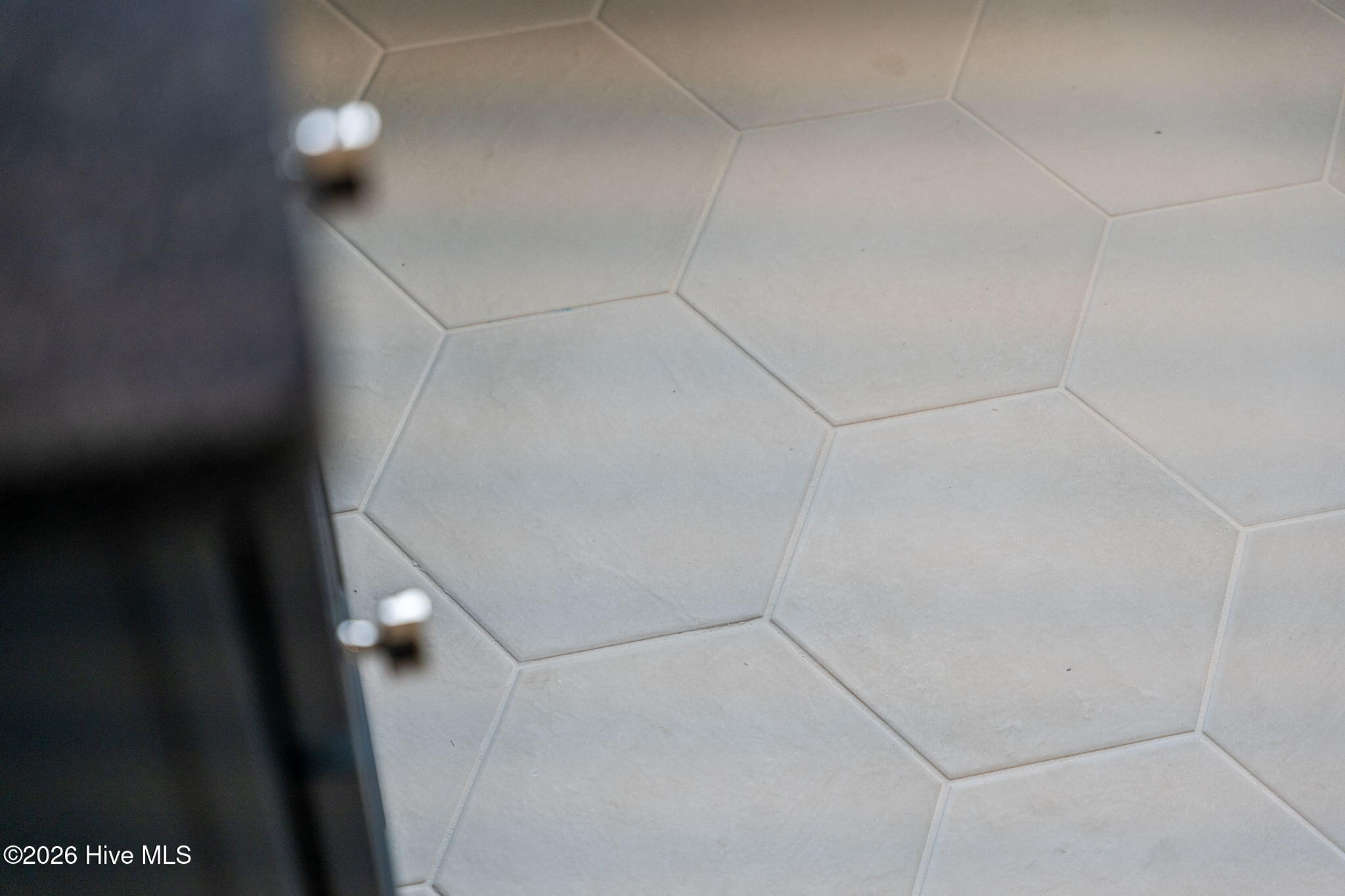 100553287 | Photo 80