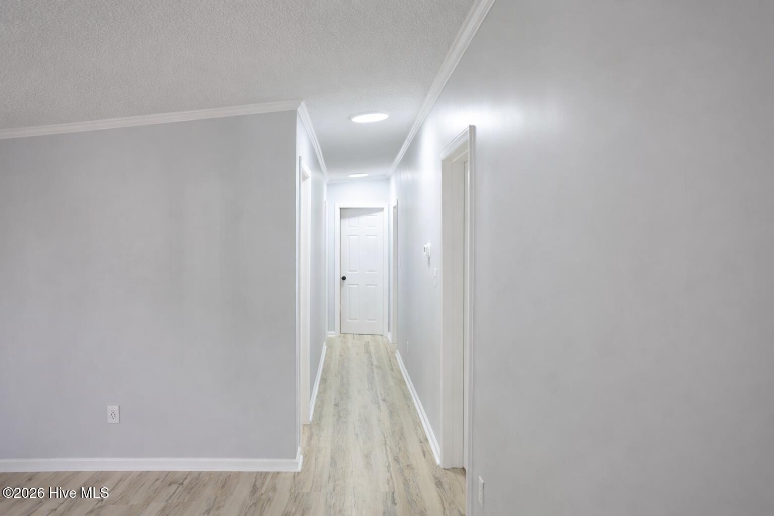 100567859 | Photo 24