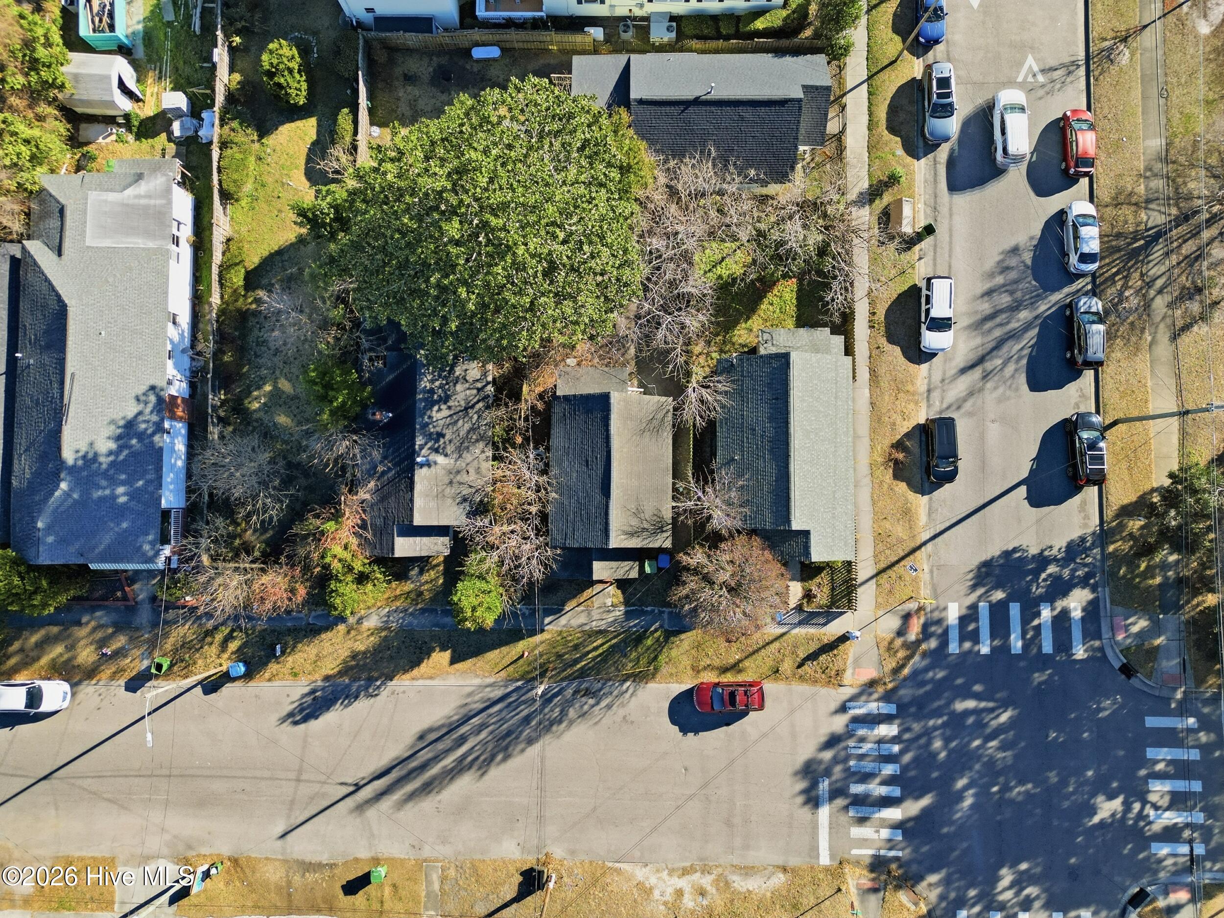 100558258 | Photo 27