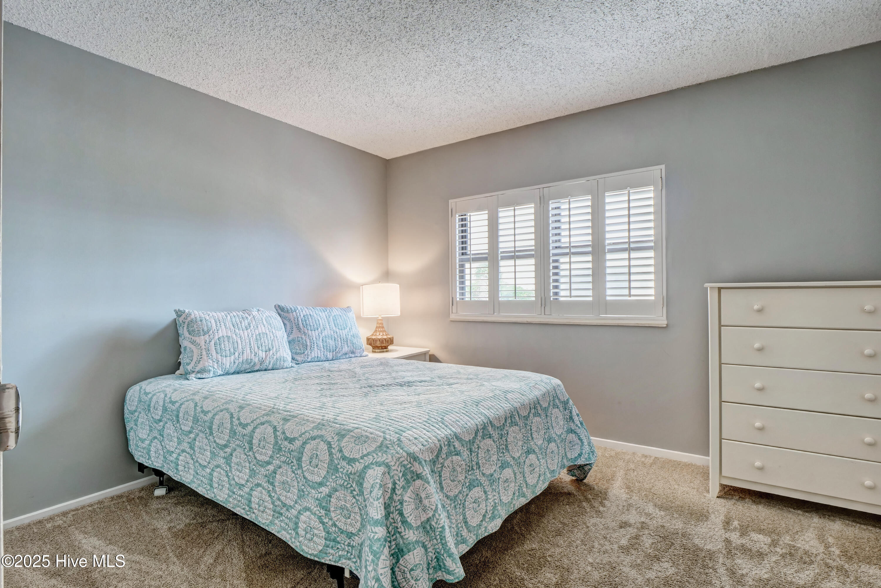 100541301 | Photo 13