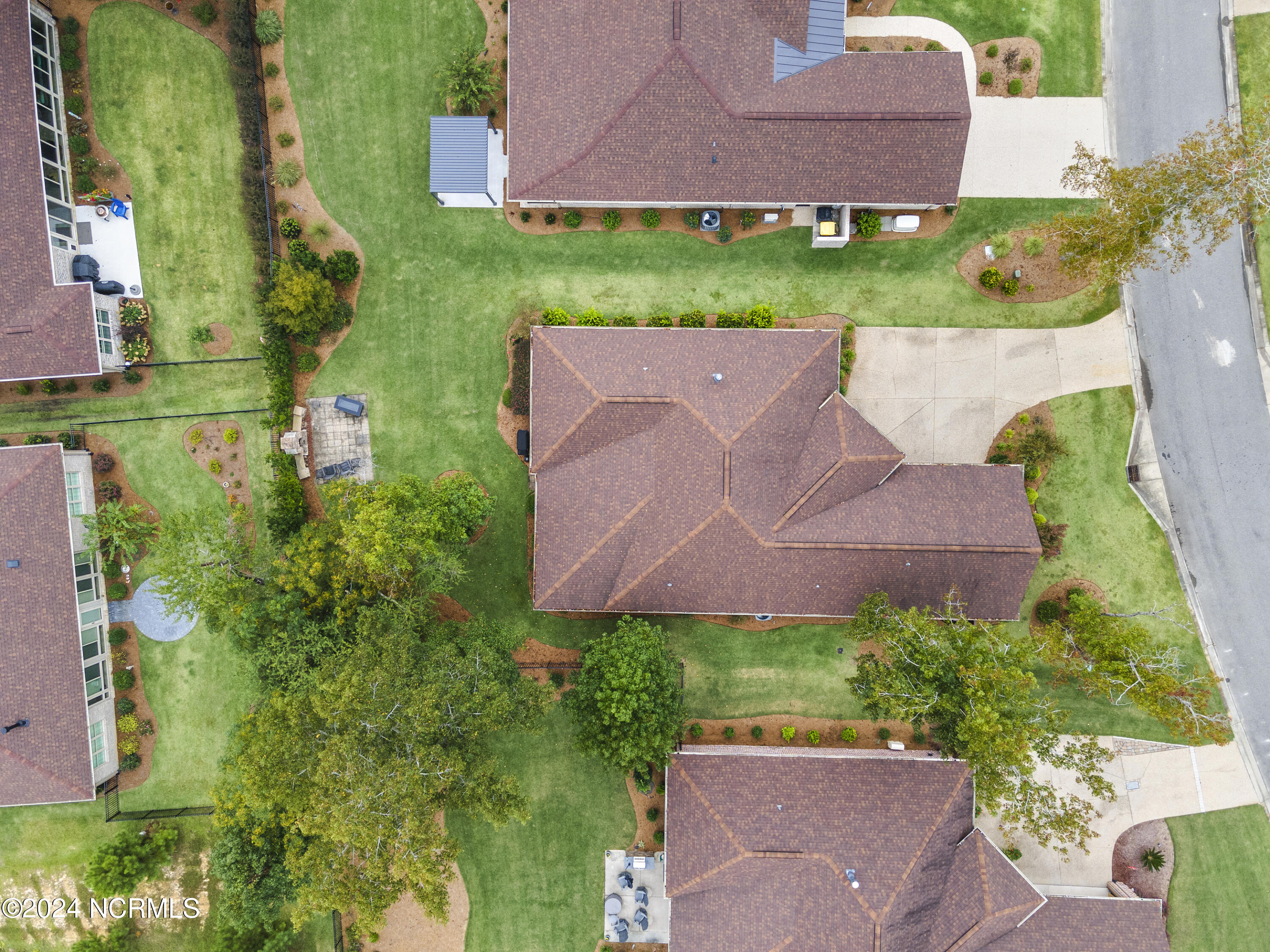 100554009 | Photo 39