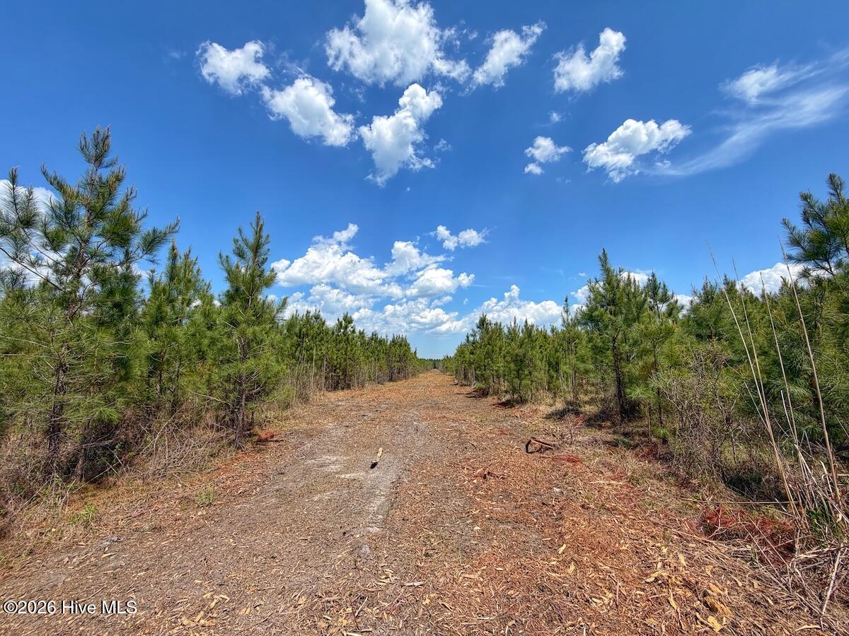 0 Guinea Mill Road, Ernul, NC, 28527