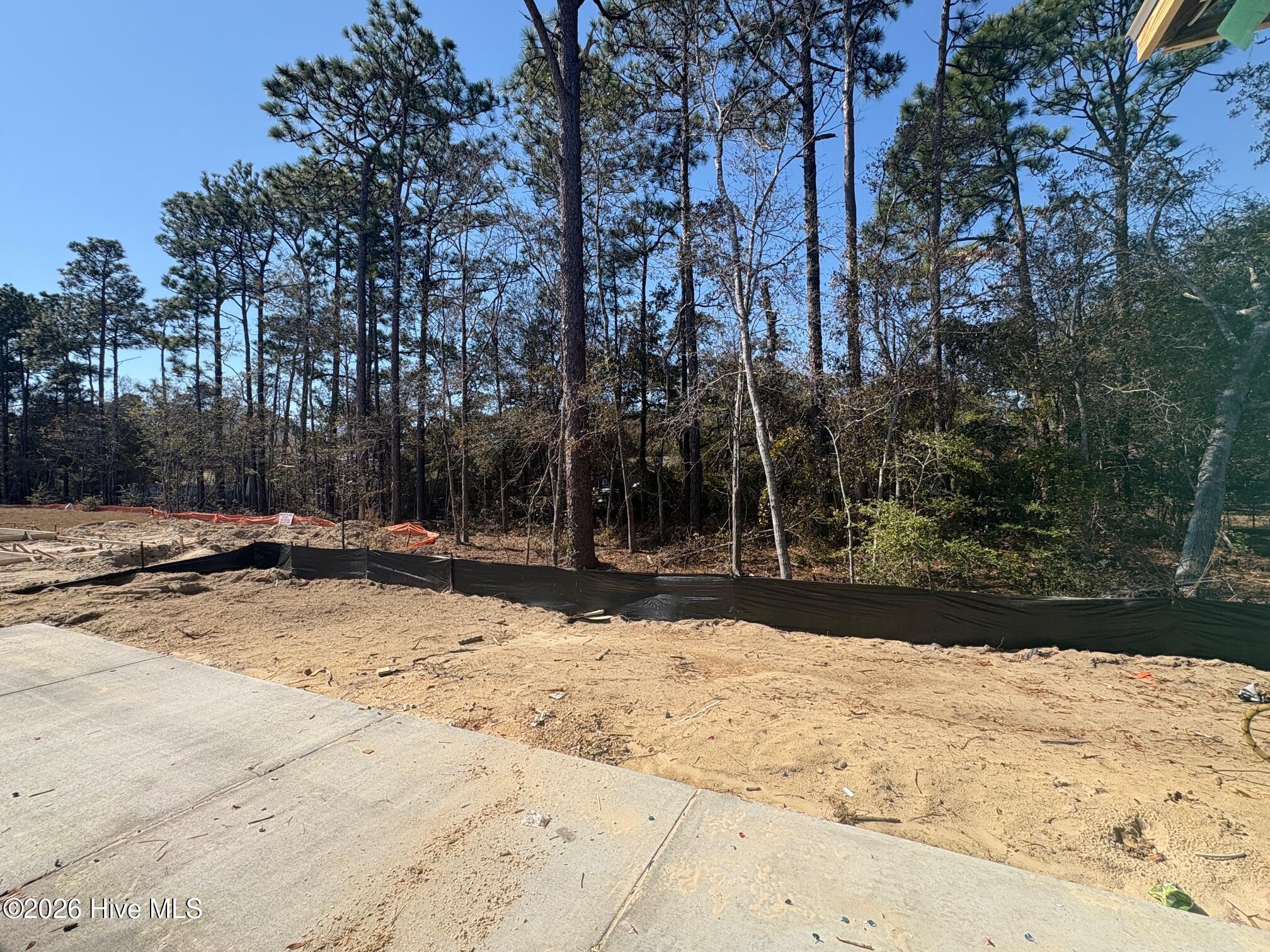 100553616 | Photo 21