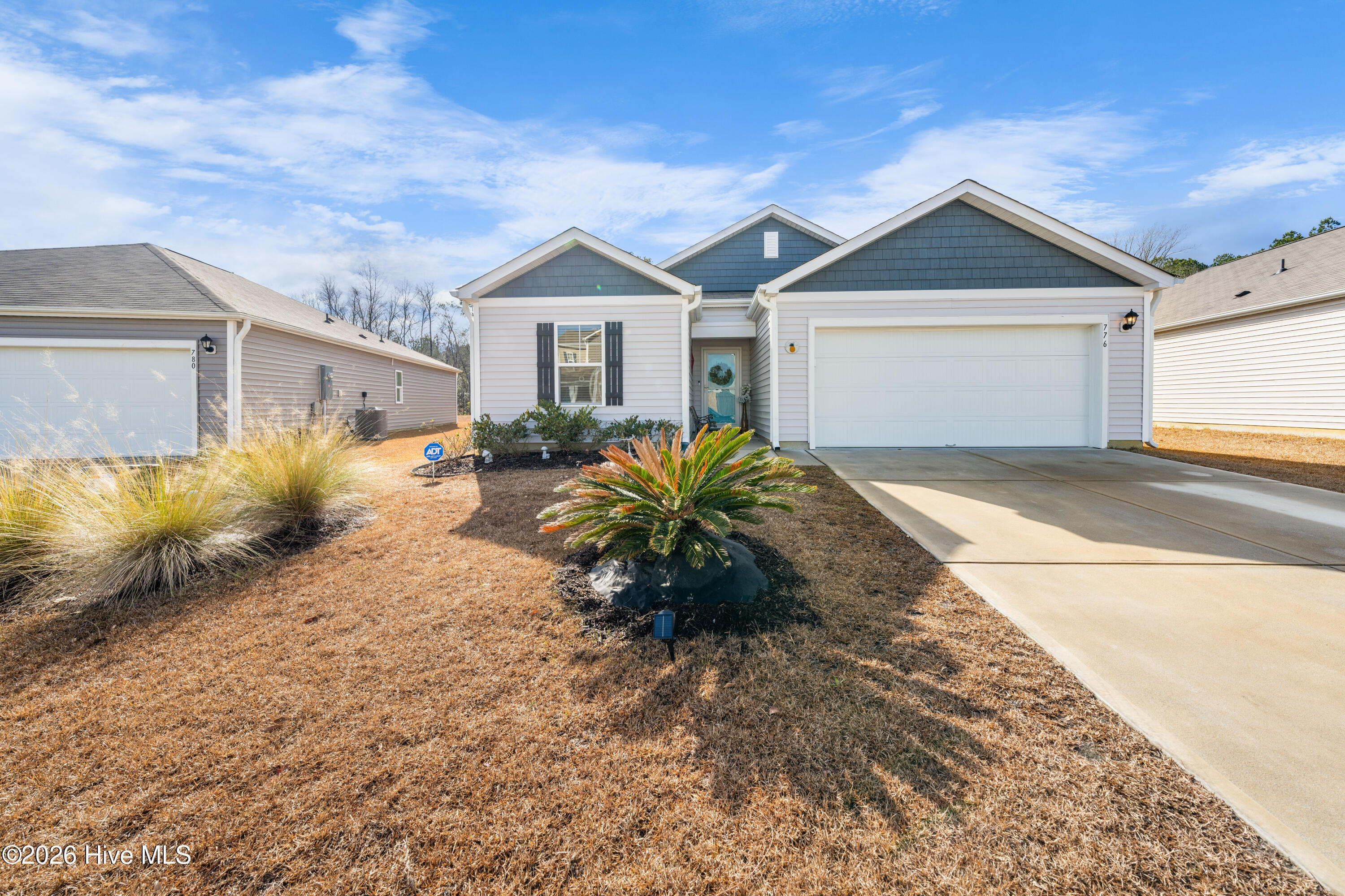 100550374 | Photo 47