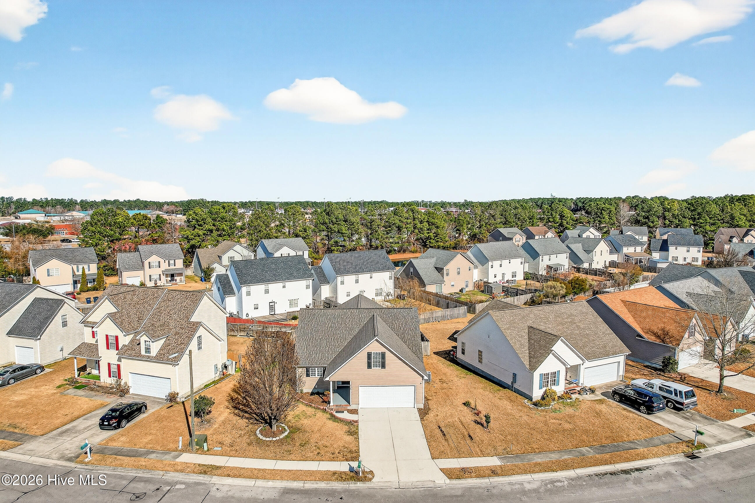 100552095 | Photo 33