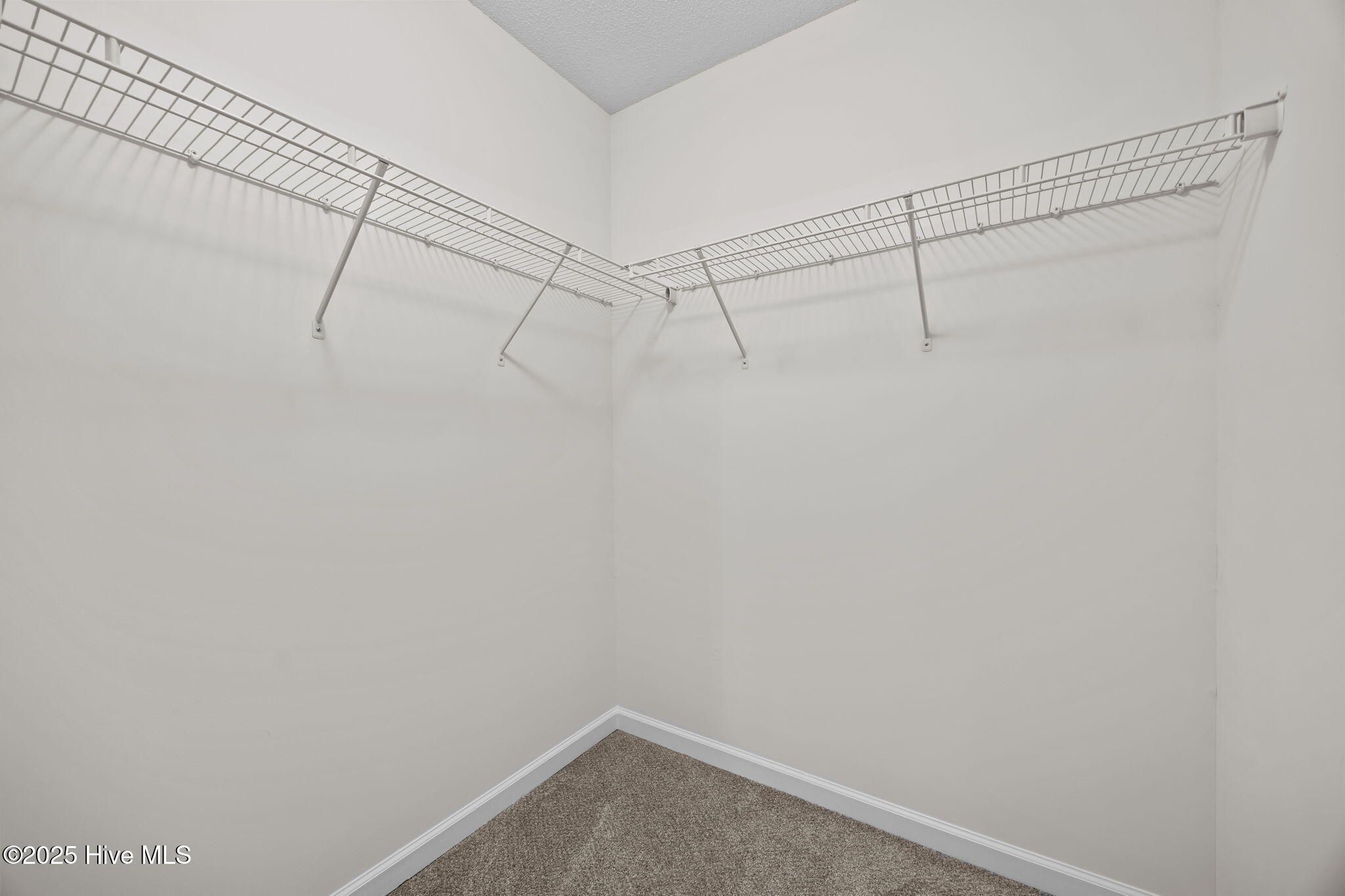 100541602 | Photo 32