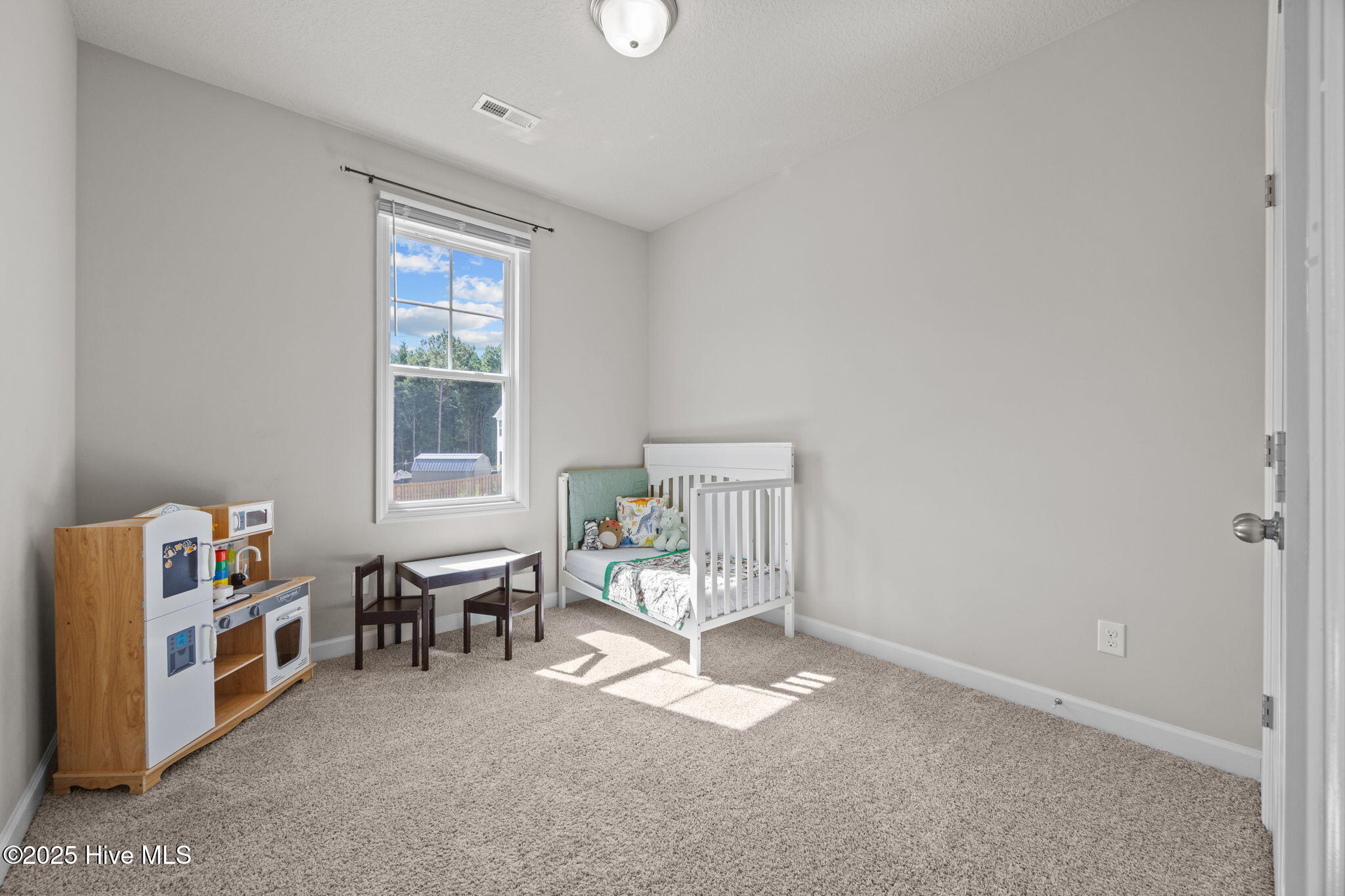 100532525 | Photo 19