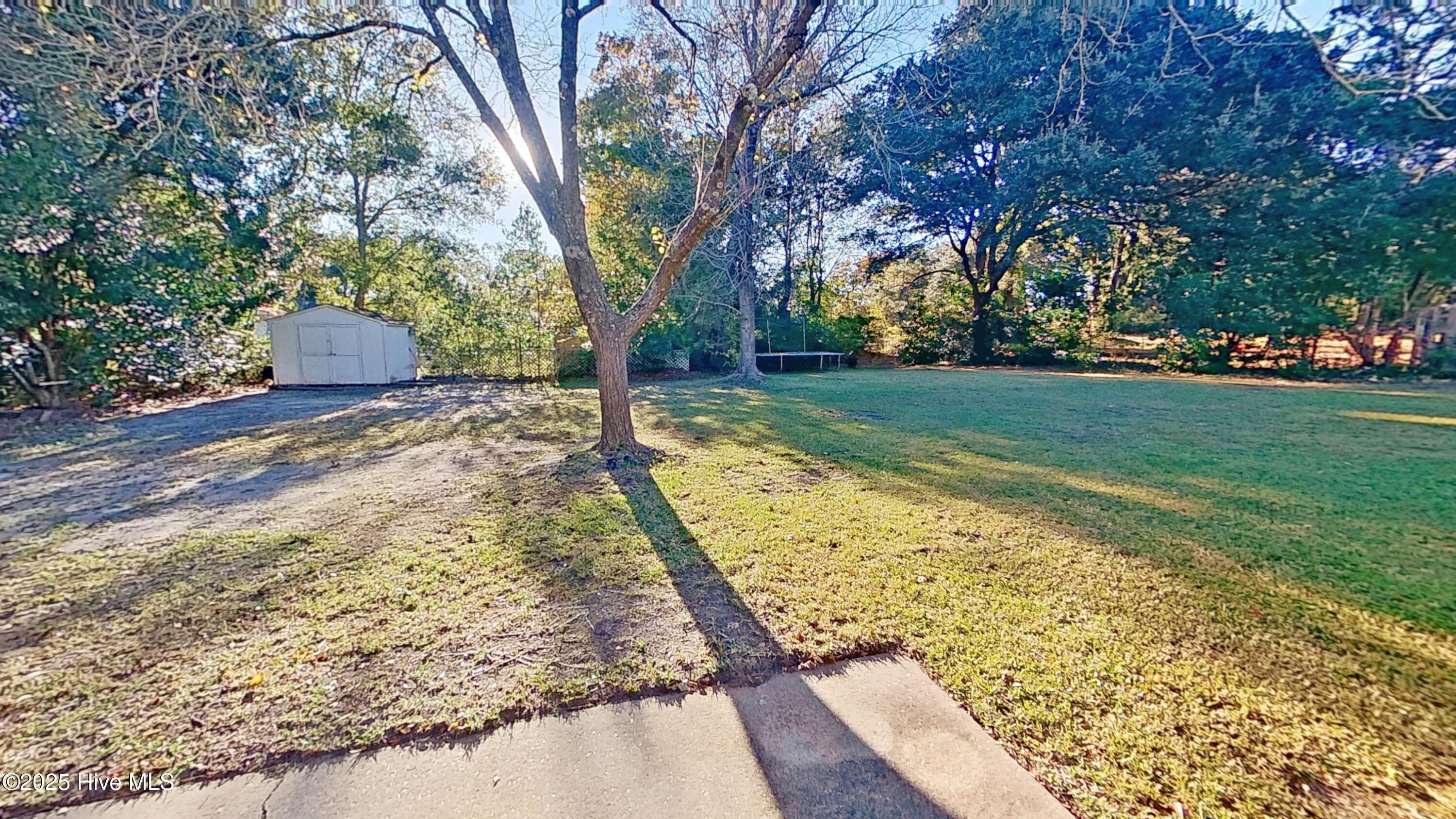 100541307 | Photo 33