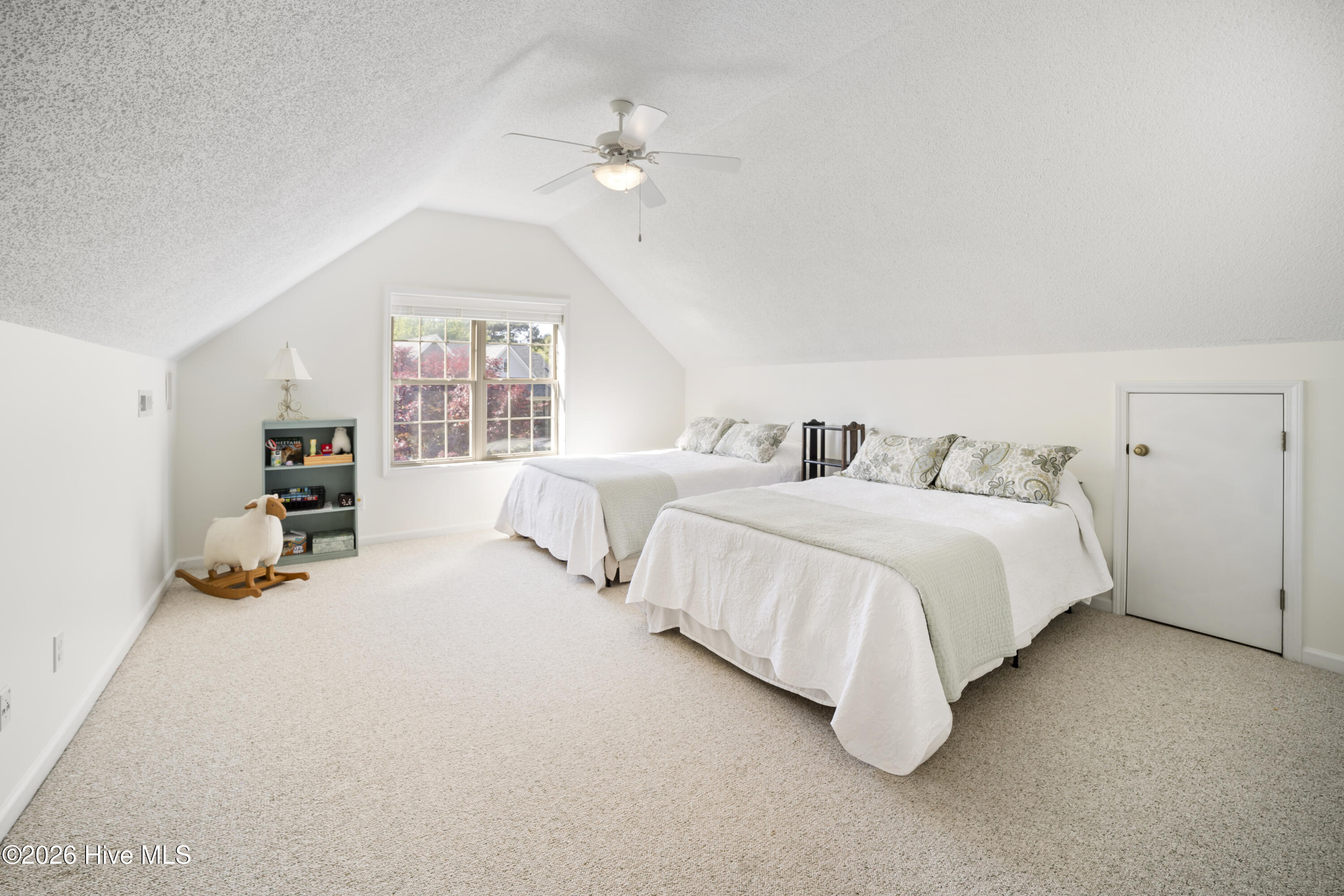 100567457 | Photo 19