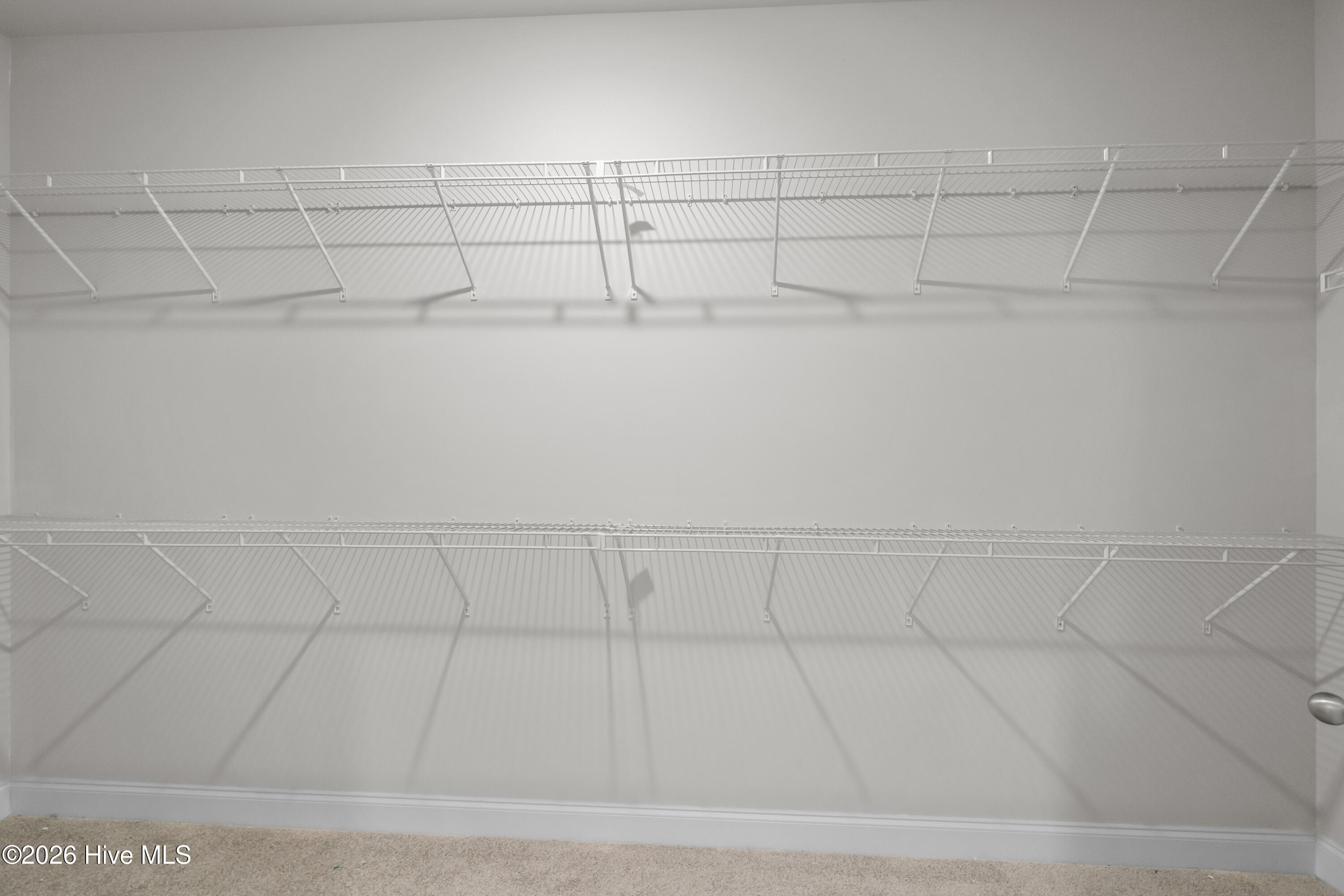 100554744 | Photo 31