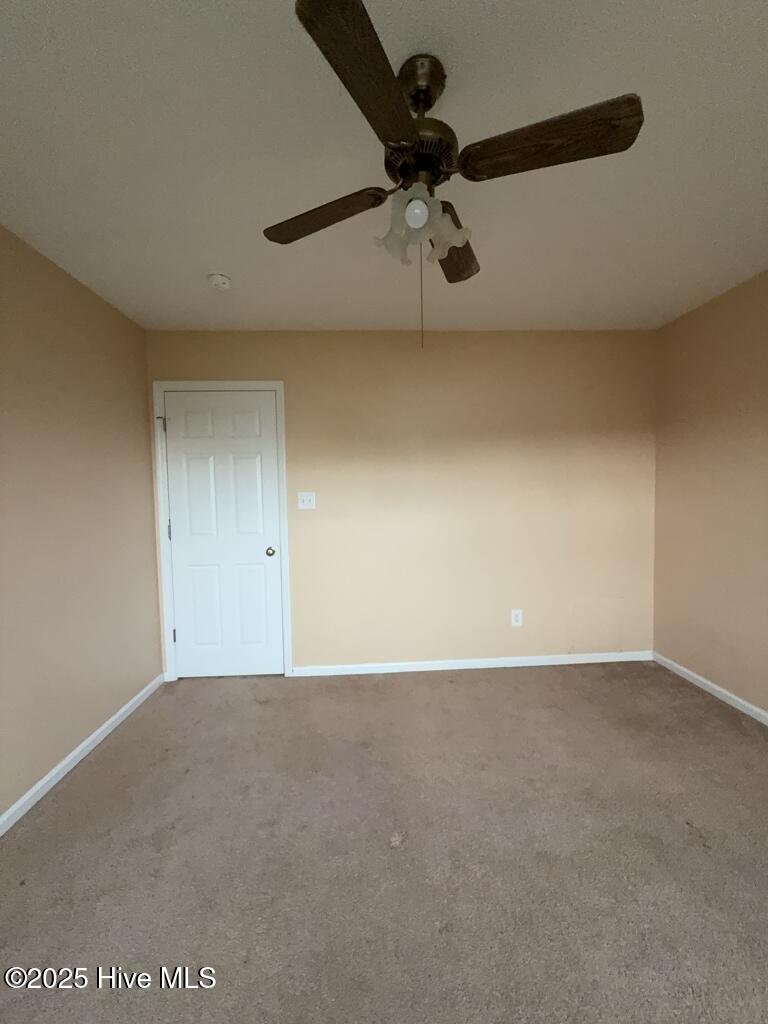 100523645 | Photo 10