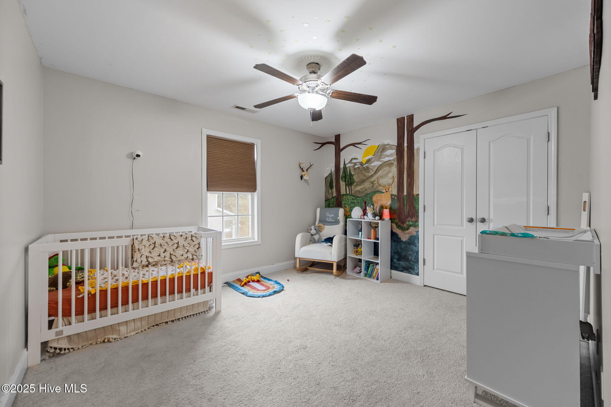 100543355 | Photo 27