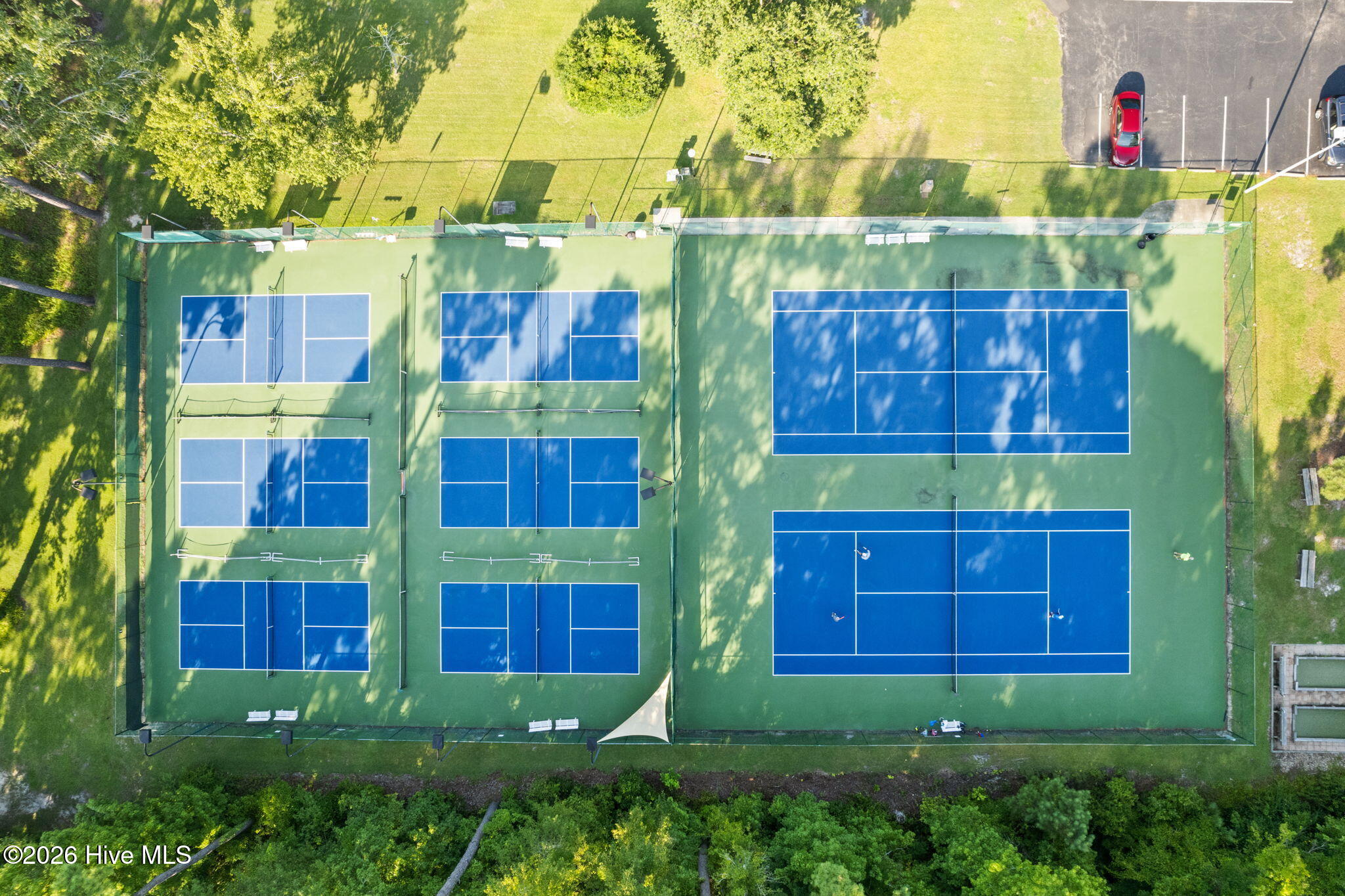 100564261 | Photo 51