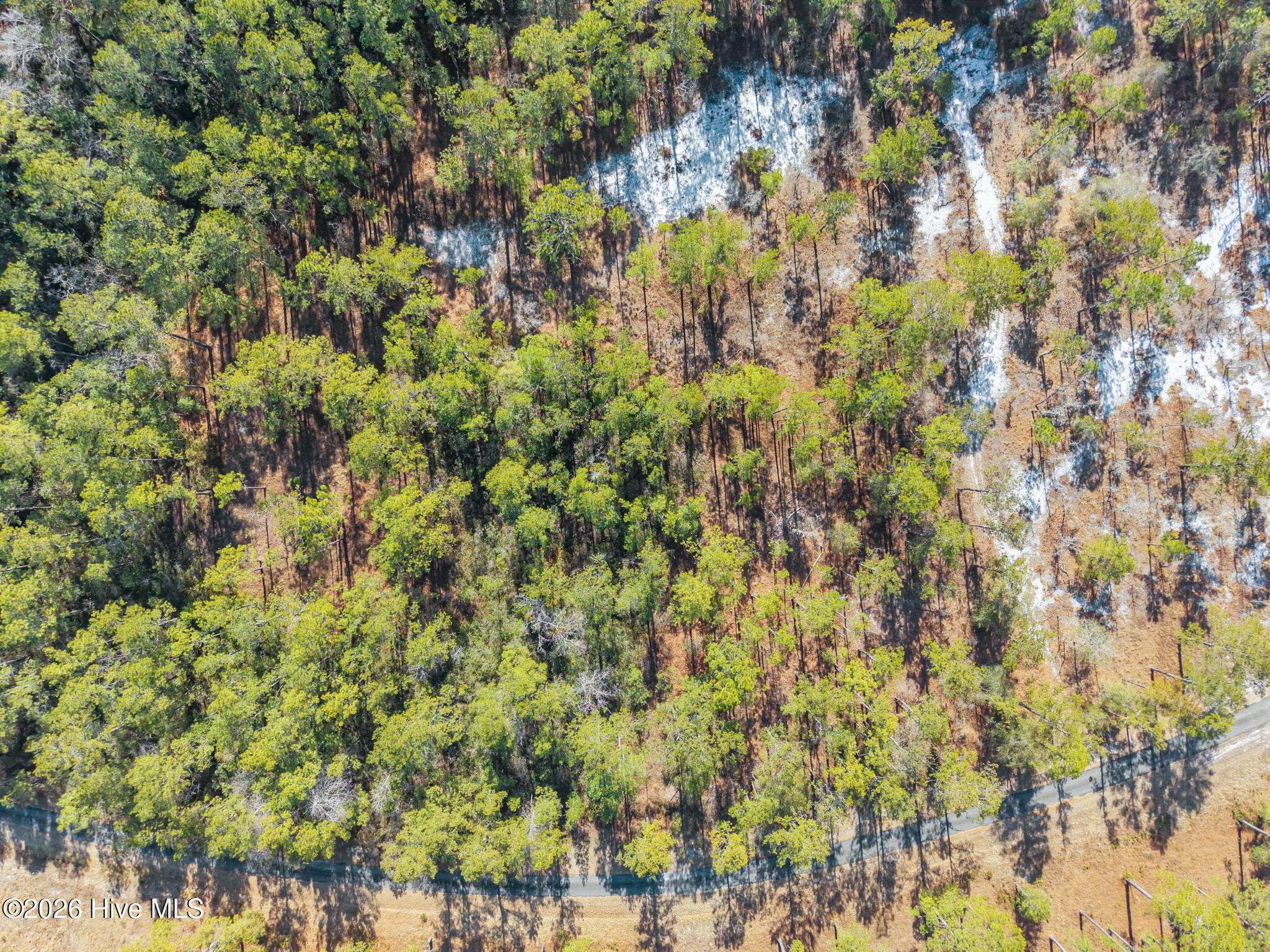 100554488 | Photo 19