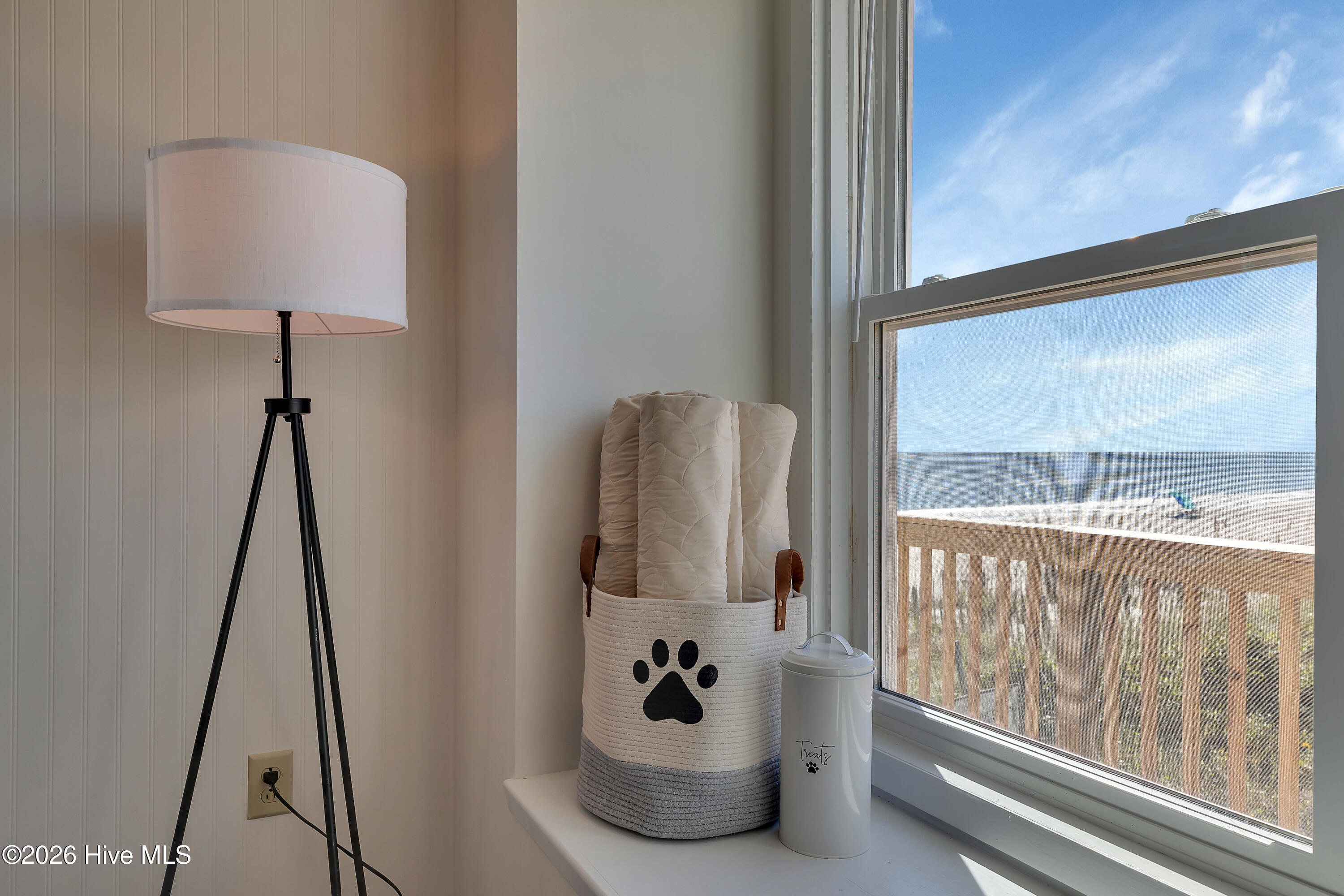 100548009 | Photo 19